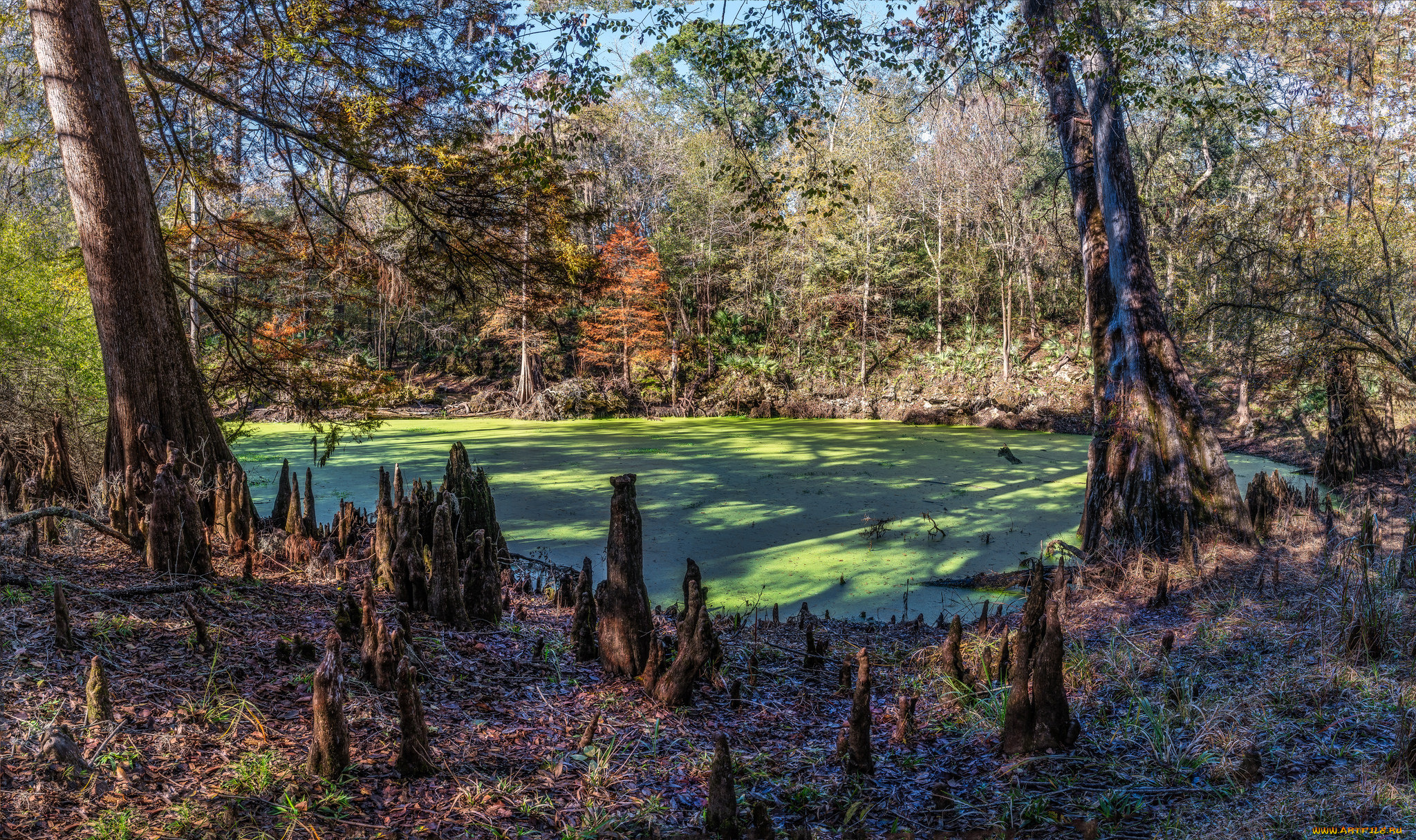 природа, реки, озера, простор