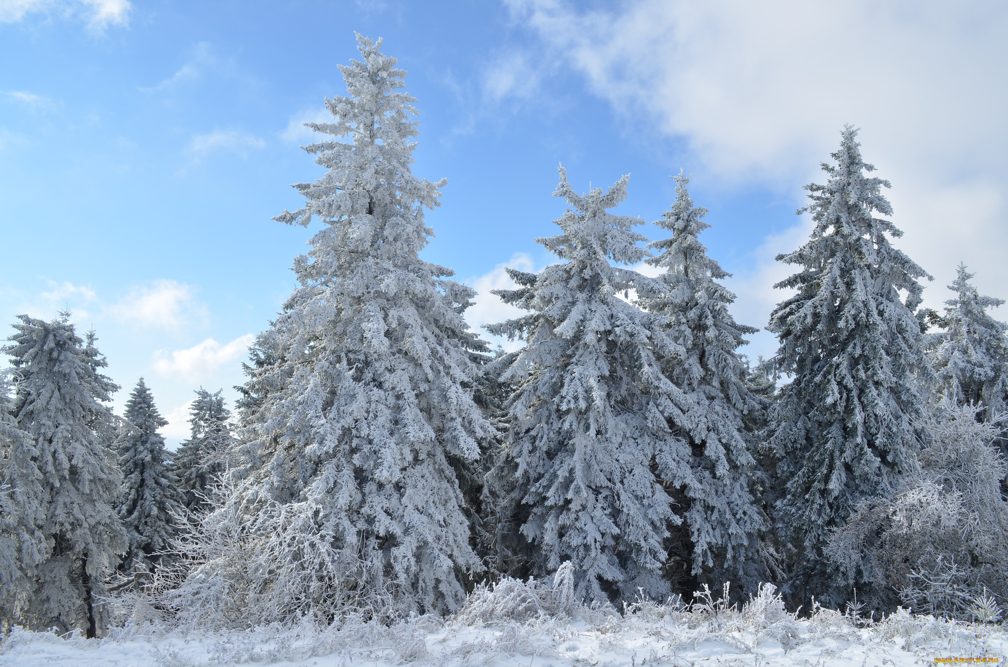 природа, зима, простор