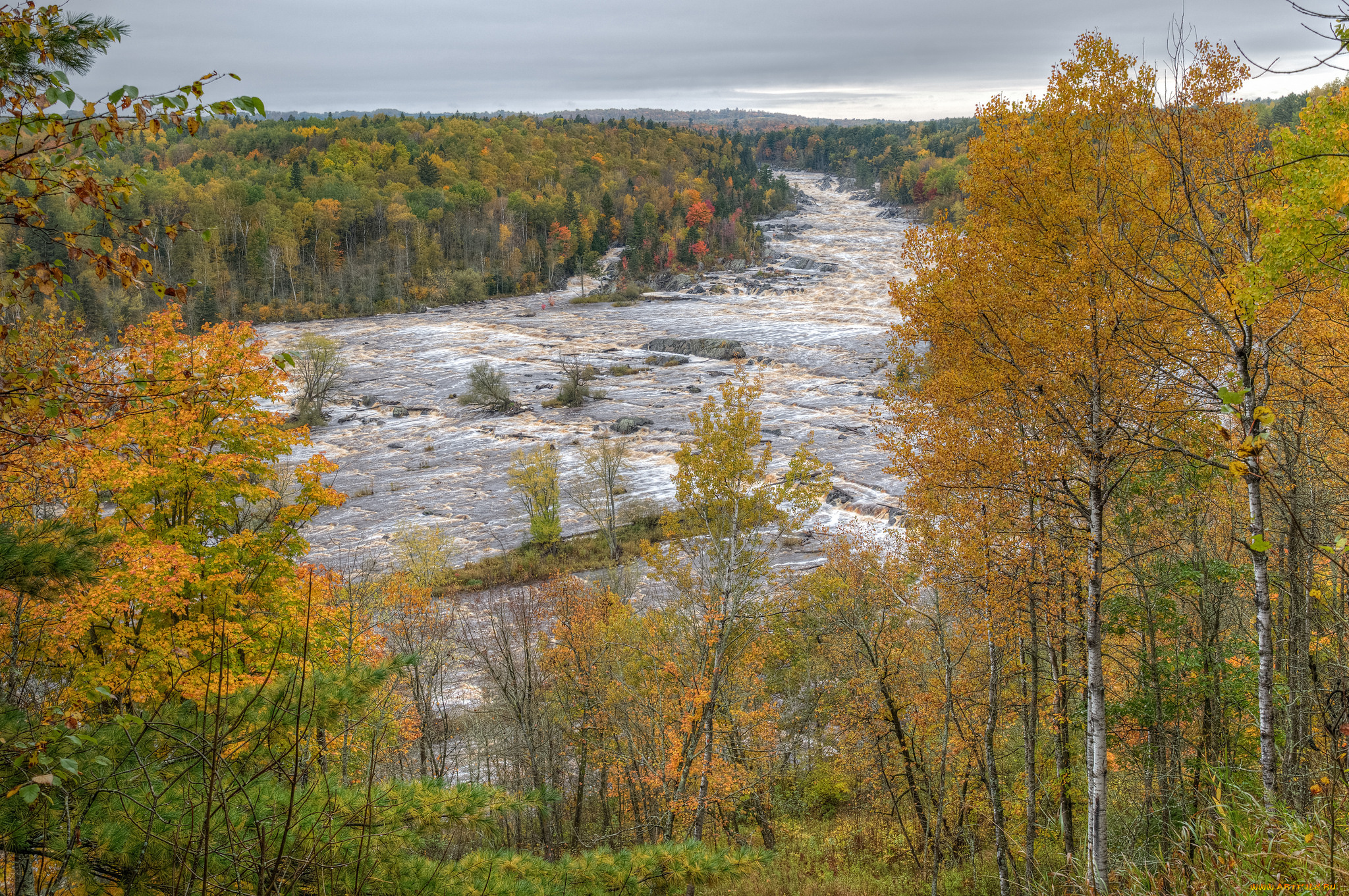 природа, реки, озера, простор