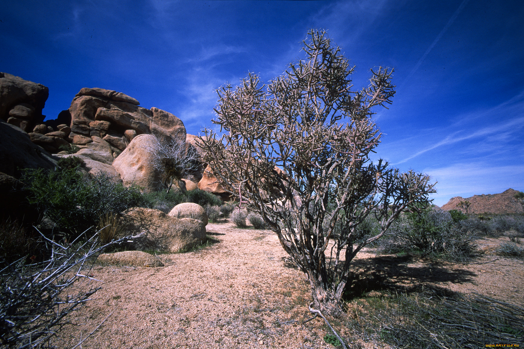 природа, пустыни, простор