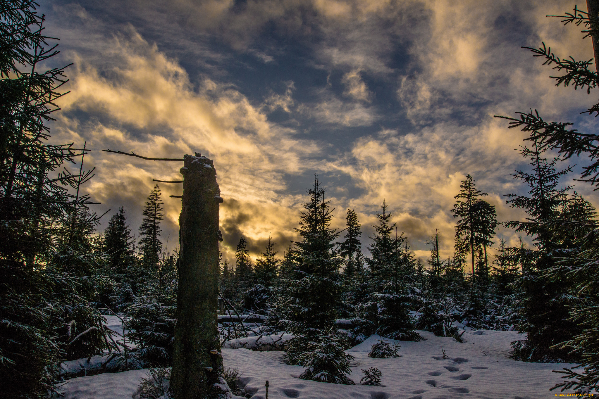 природа, зима, простор