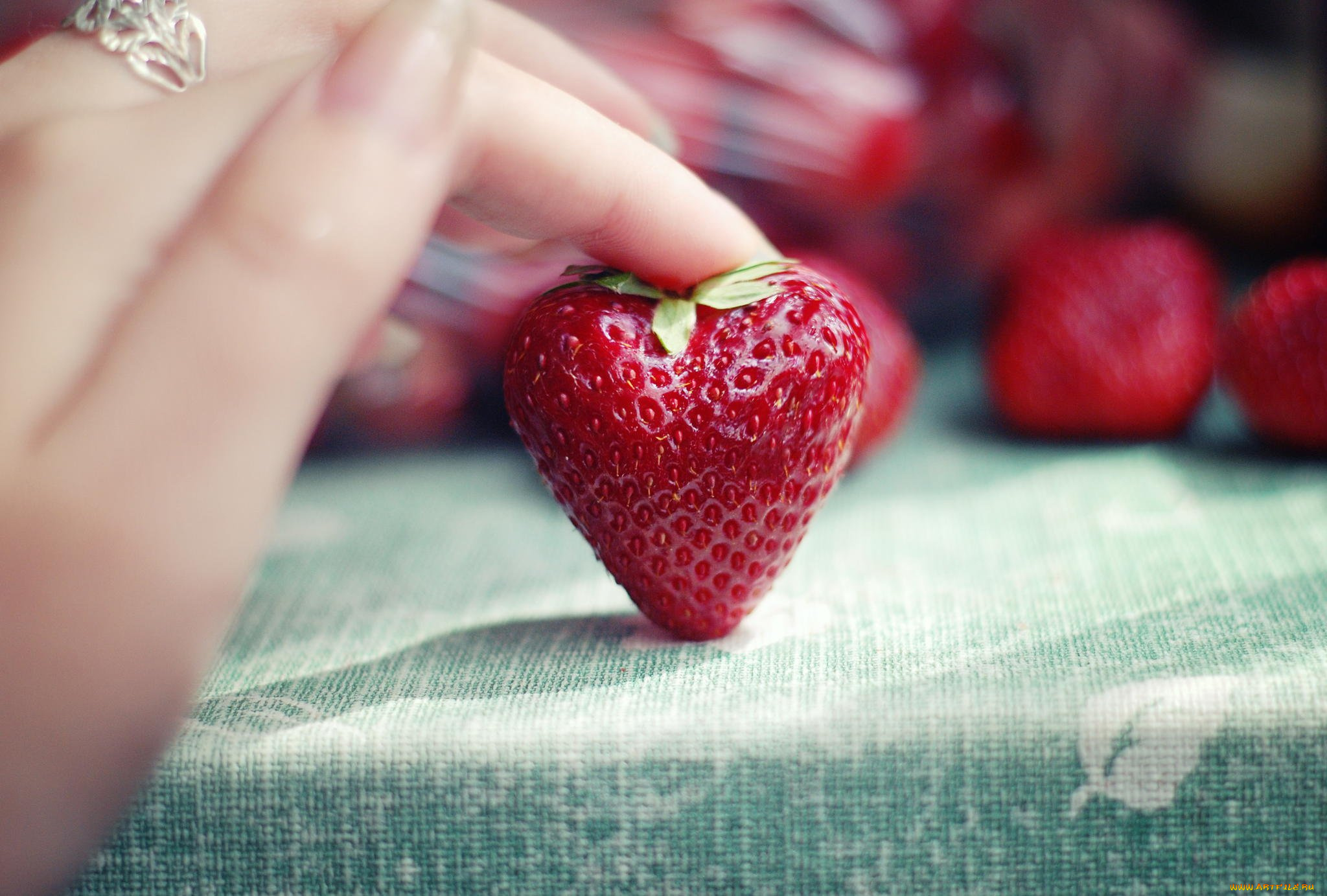 еда, клубника, , земляника, ягодка