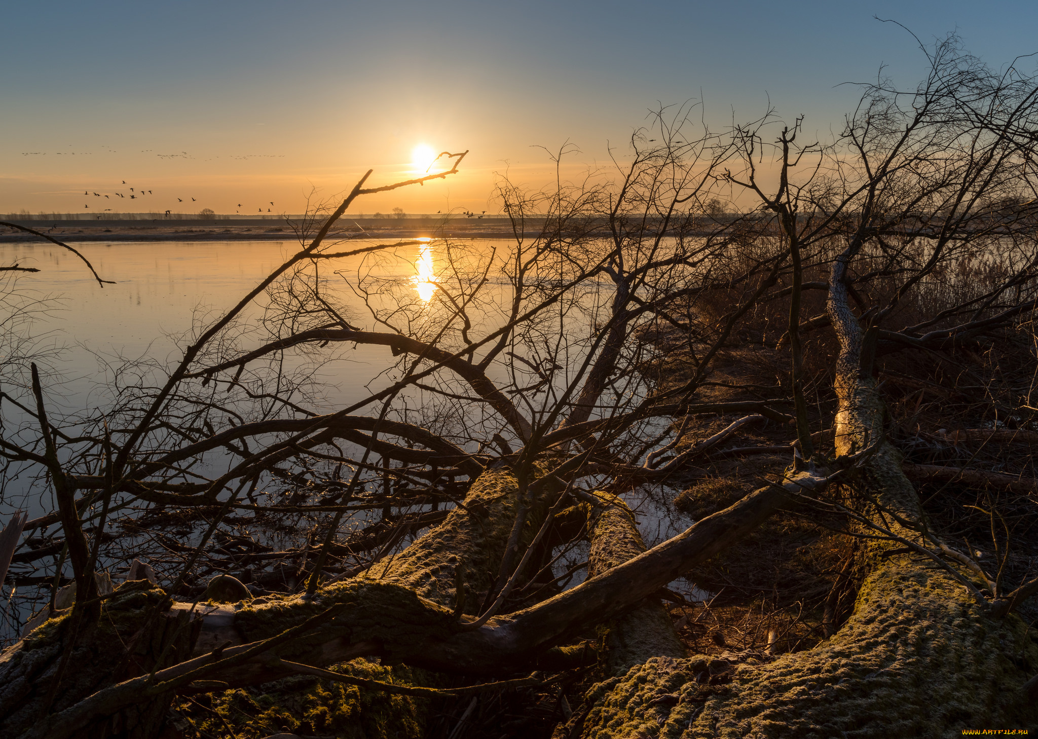 природа, восходы, закаты, простор