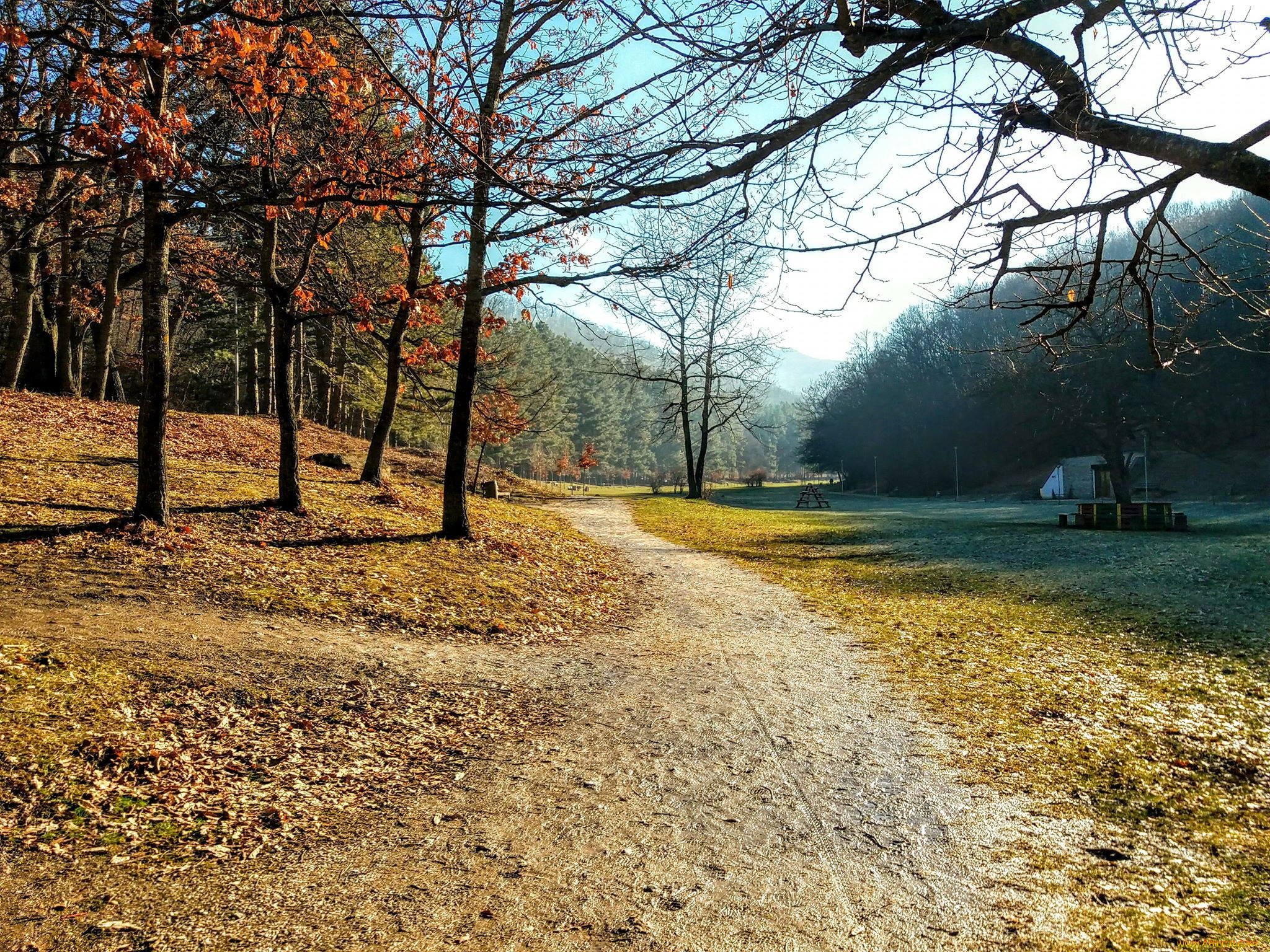 природа, парк, осень