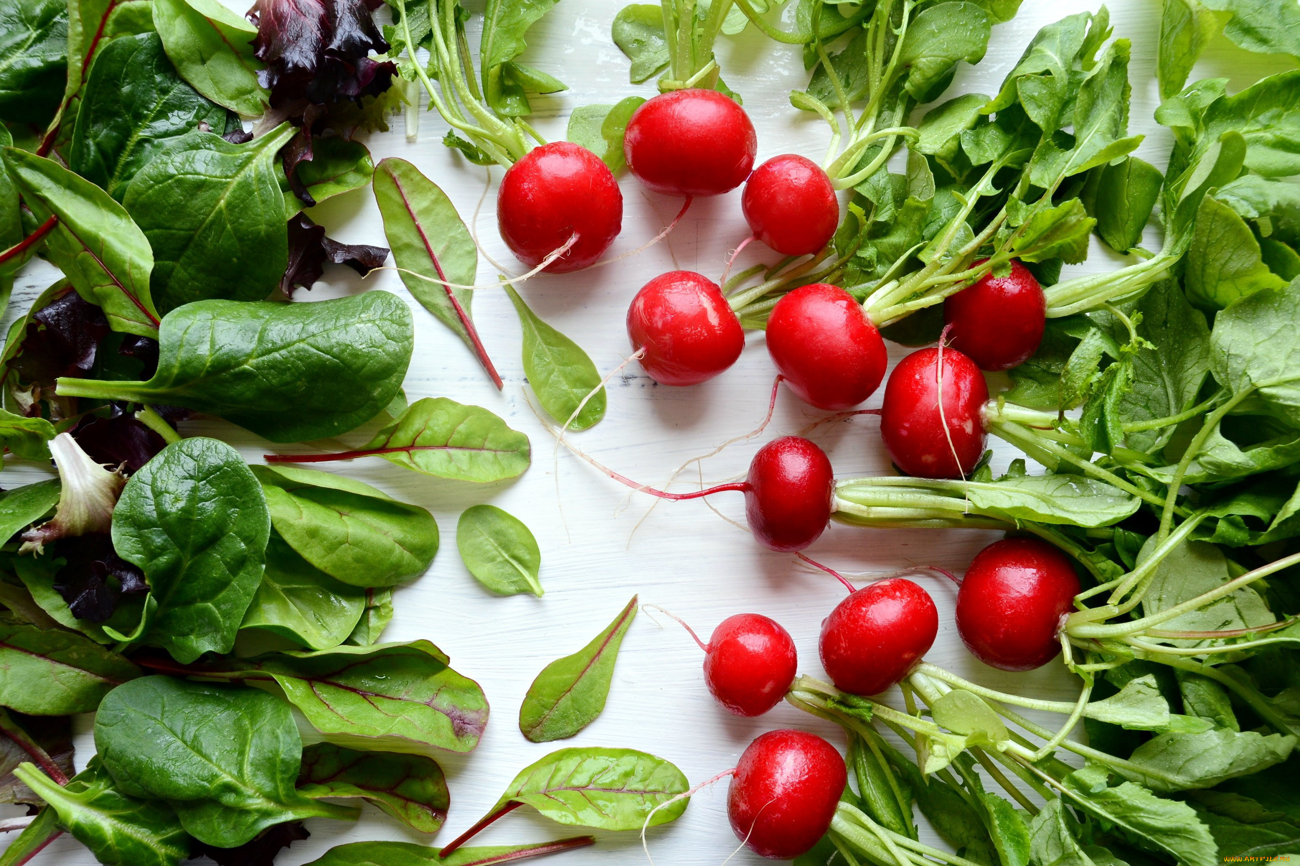 еда, овощи, мангольд, шпинат, редис