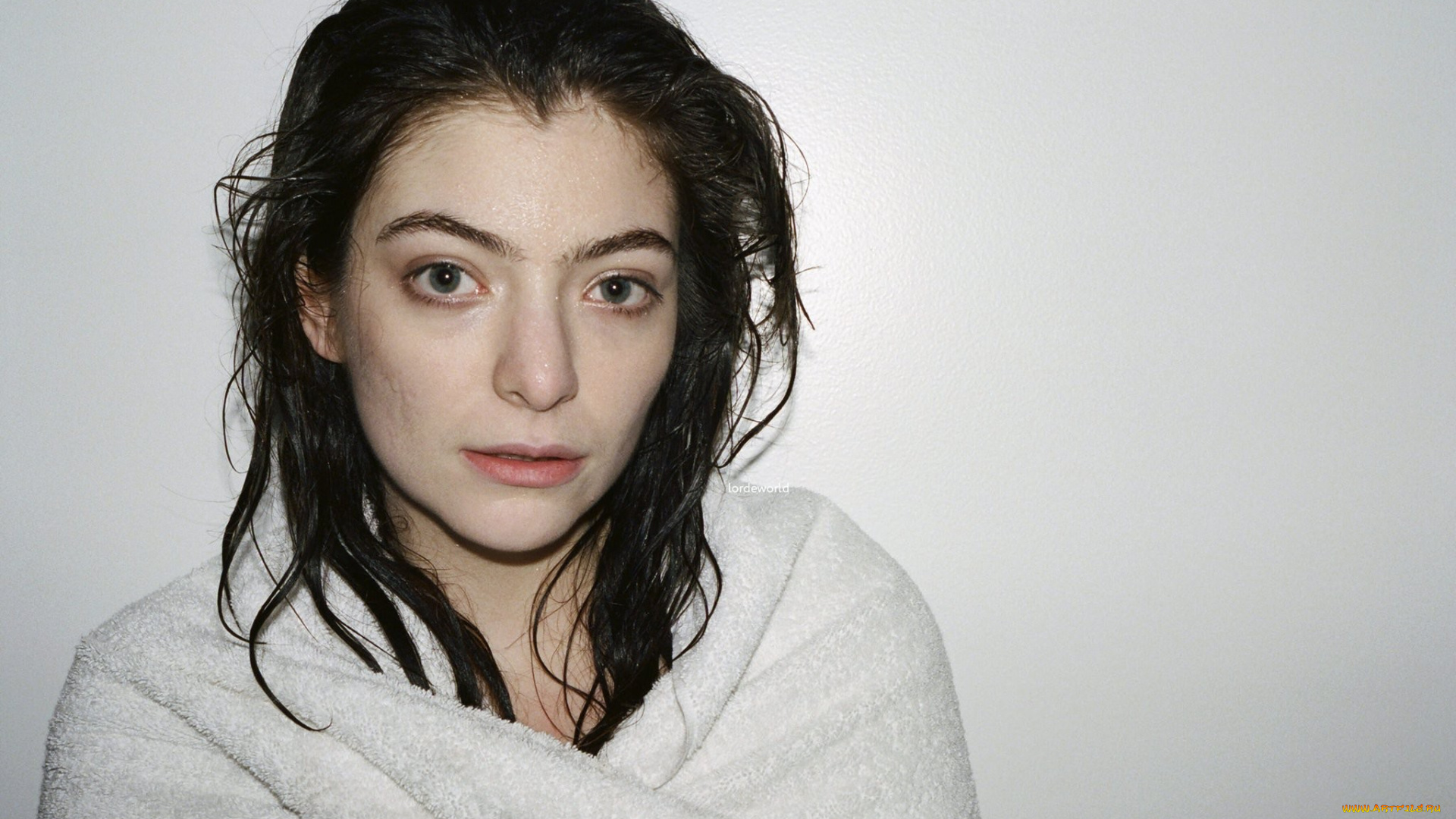 lorde, музыка, женщины, портрет, темные, волосы, простой, фон