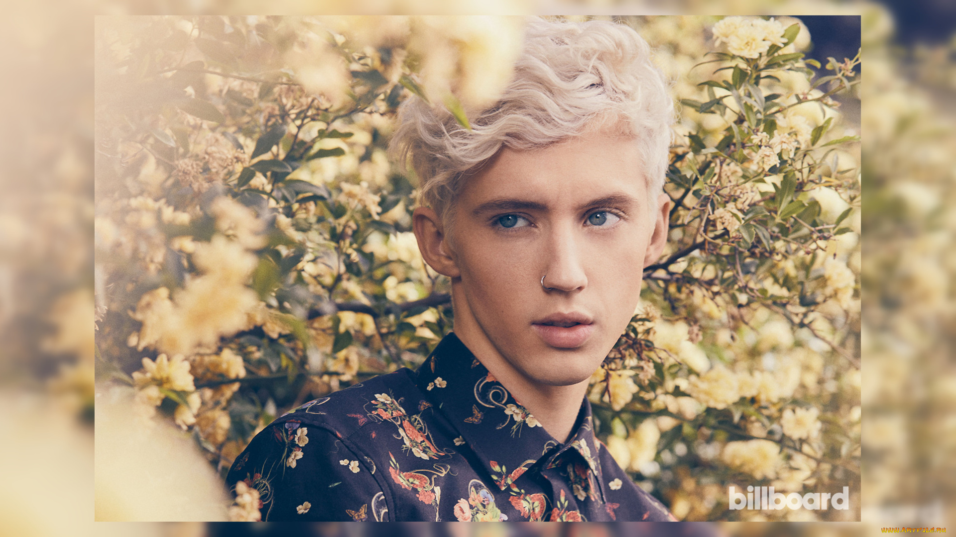 troye, sivan, музыка, музыкант