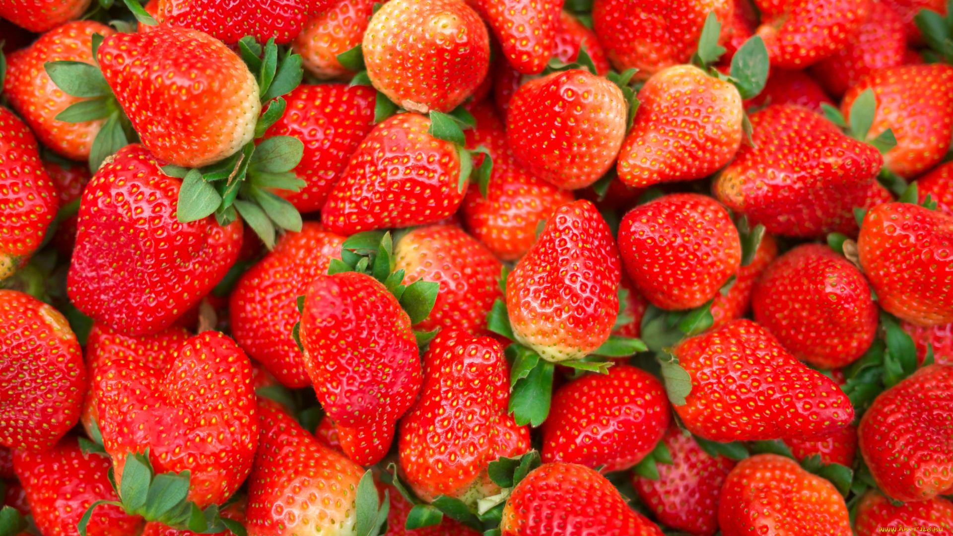 клубника, еда, , земляника, полезная, ягода, для, организма, но, только, надо, есть, её, в, меру, а, так, вкуснятина, одна, да, ещё, можно, добавить, молока, или, сметаны, вообще, улёт, с, вкусным, свежим, багетом, батоном, пальчики, оближешь