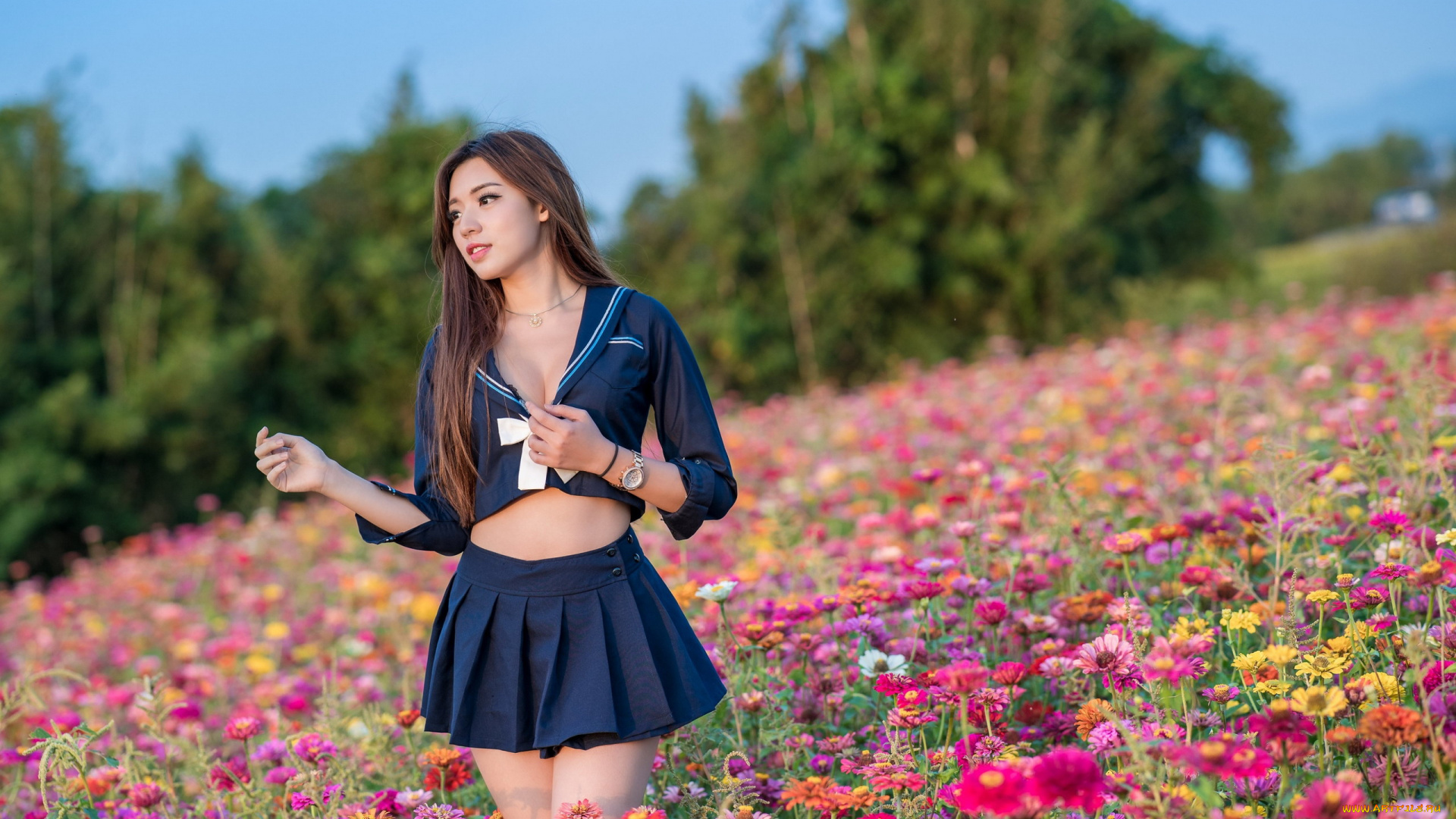 девушки, -, азиатки, азиатка, луг, цветы