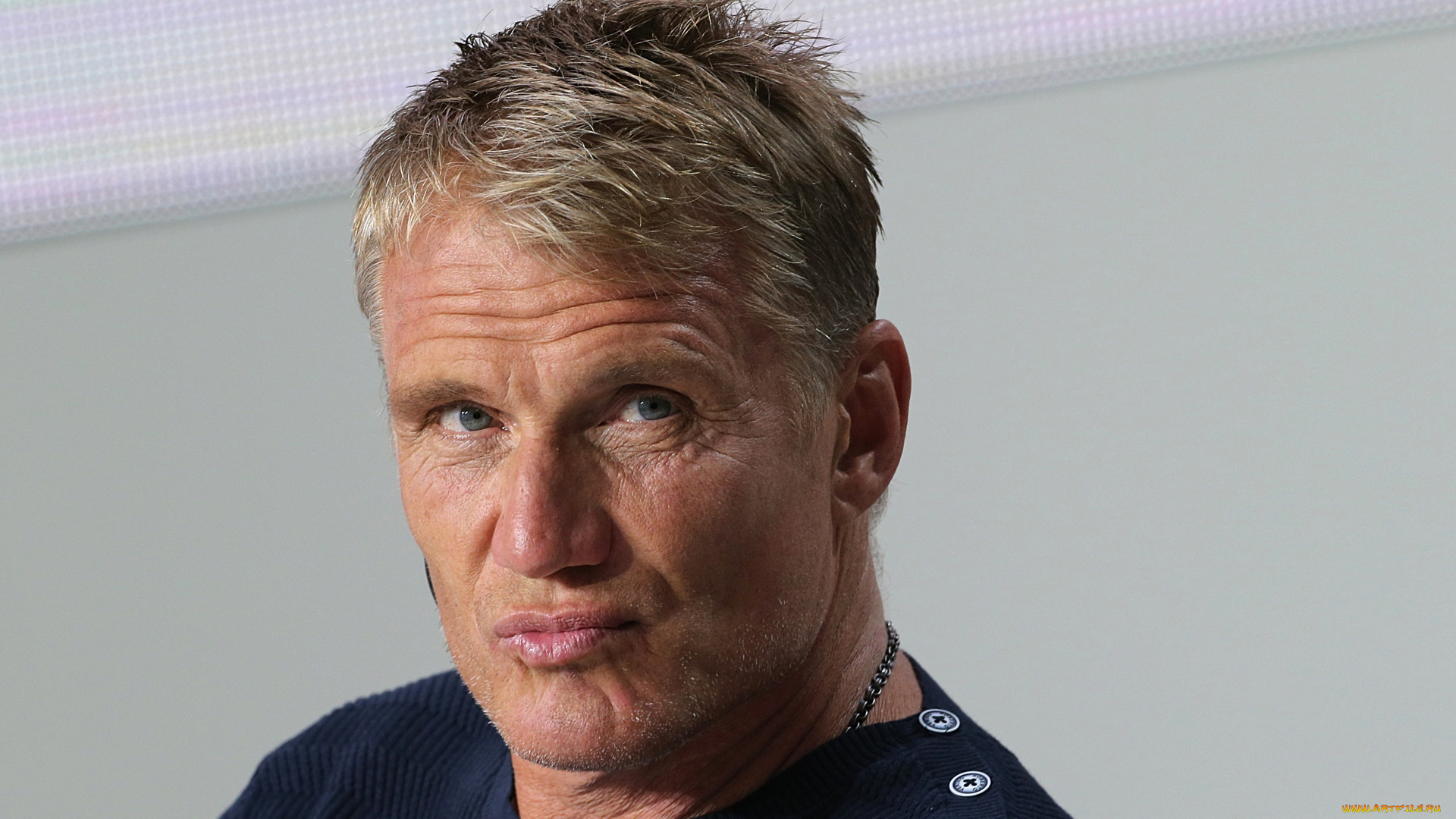 мужчины, dolph, lundgren, актер, лицо
