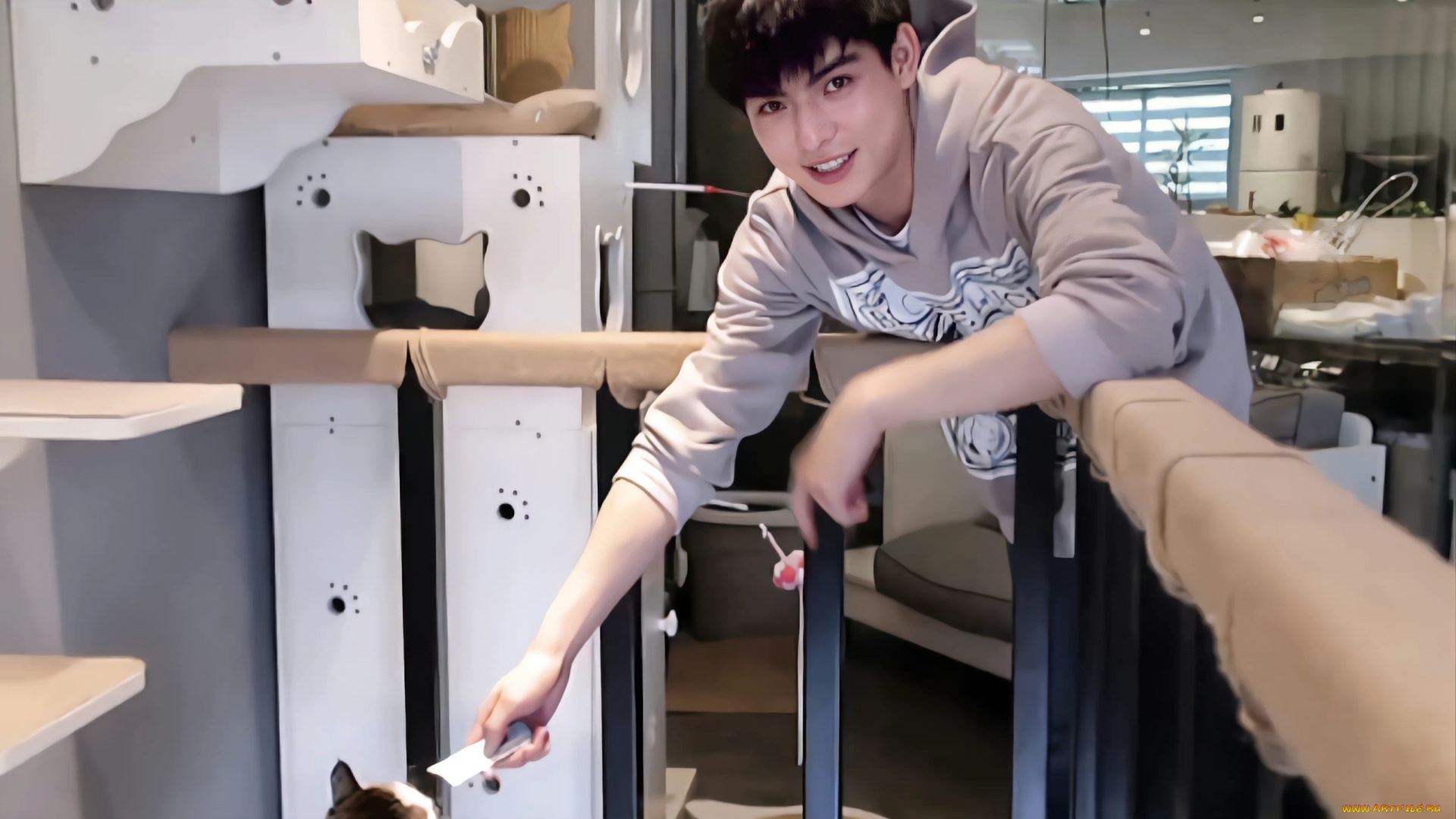 мужчины, wang, hao, xuan, ван, хаосюань, wang, hao, xuan