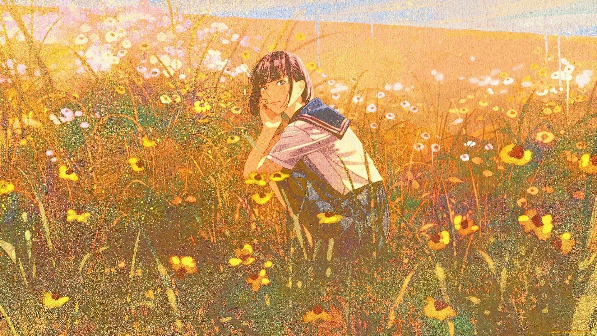 аниме, пейзажи, , природа, девочка, поле