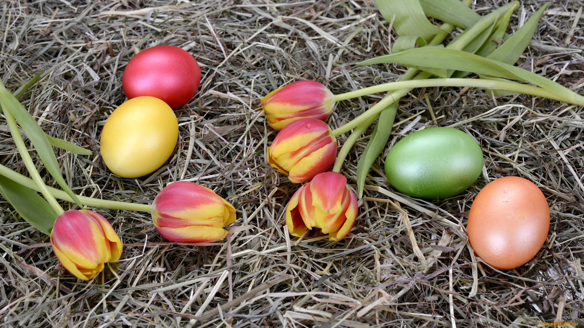 праздничные, пасха, яйца, гнездо, тюльпаны