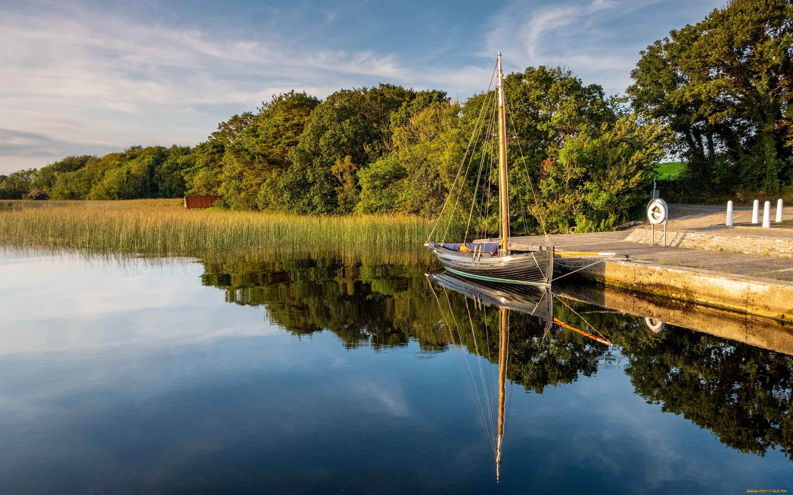 корабли, лодки, , шлюпки, река, камыши, лодка, парусная