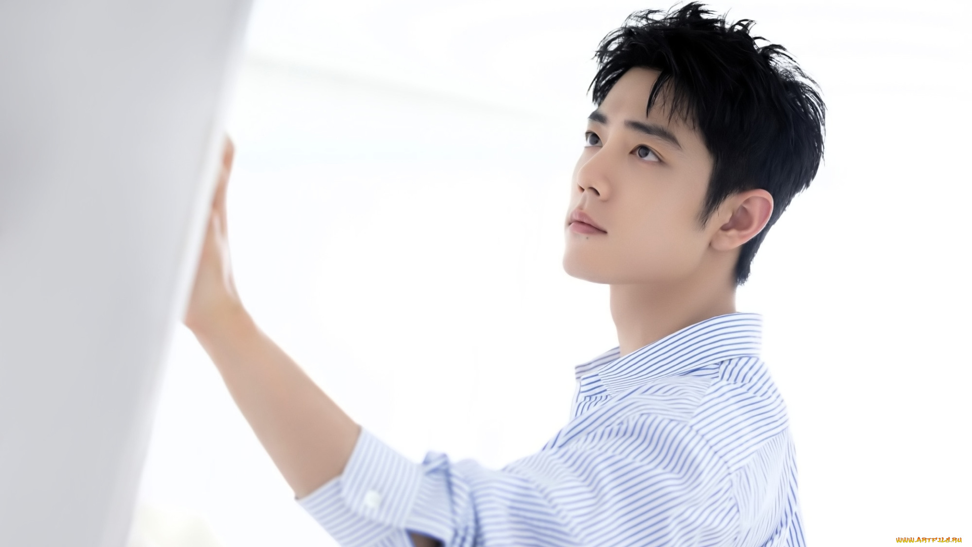 мужчины, xiao, zhan, актер, рубашка