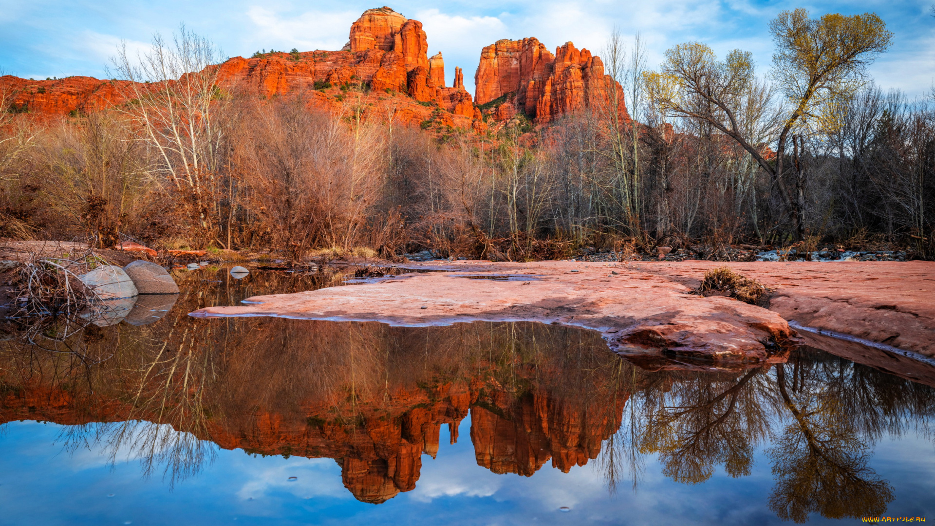 cathedral, rock, sedona, arizona, природа, горы, cathedral, rock