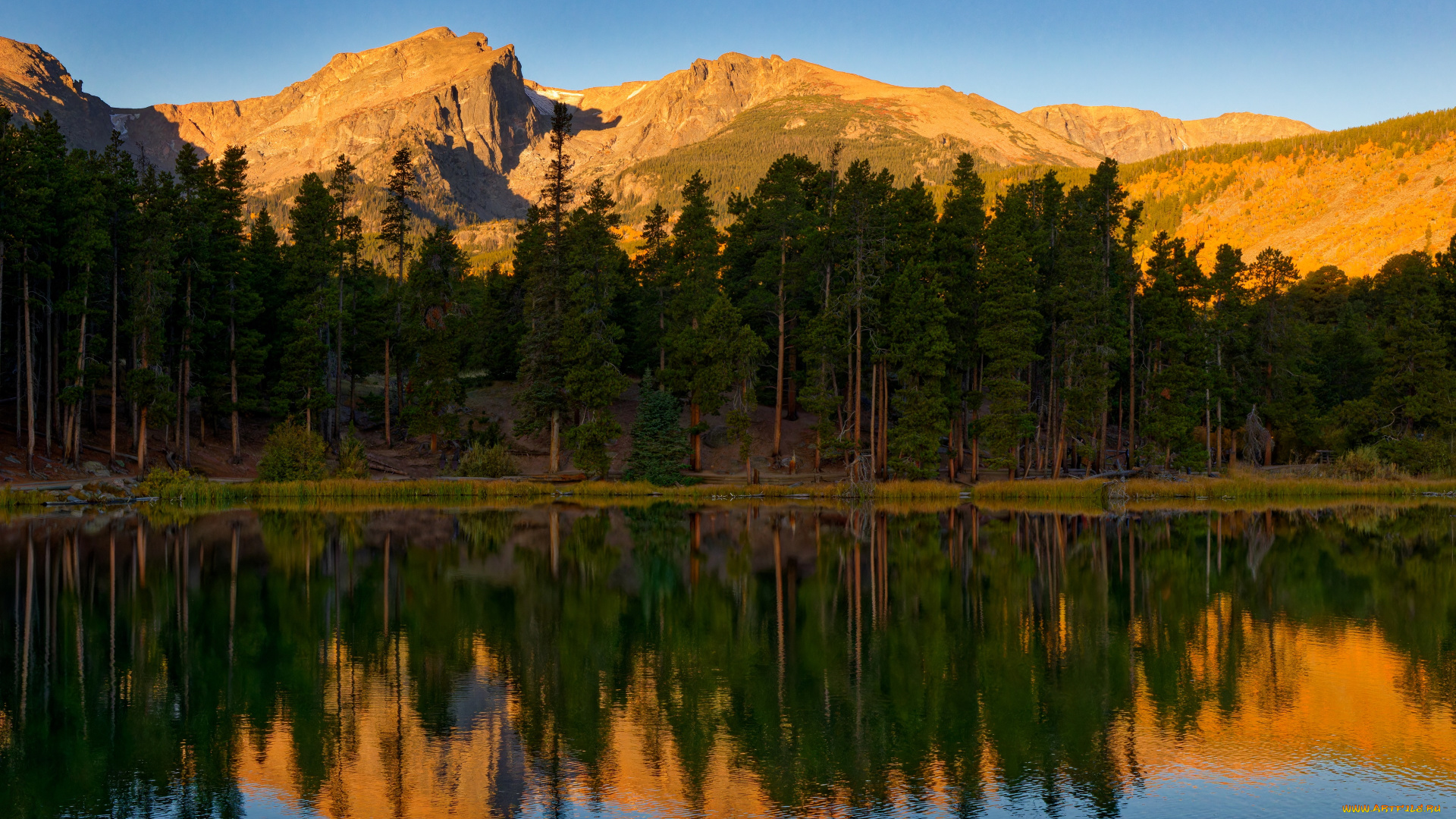 природа, реки, озера, лес