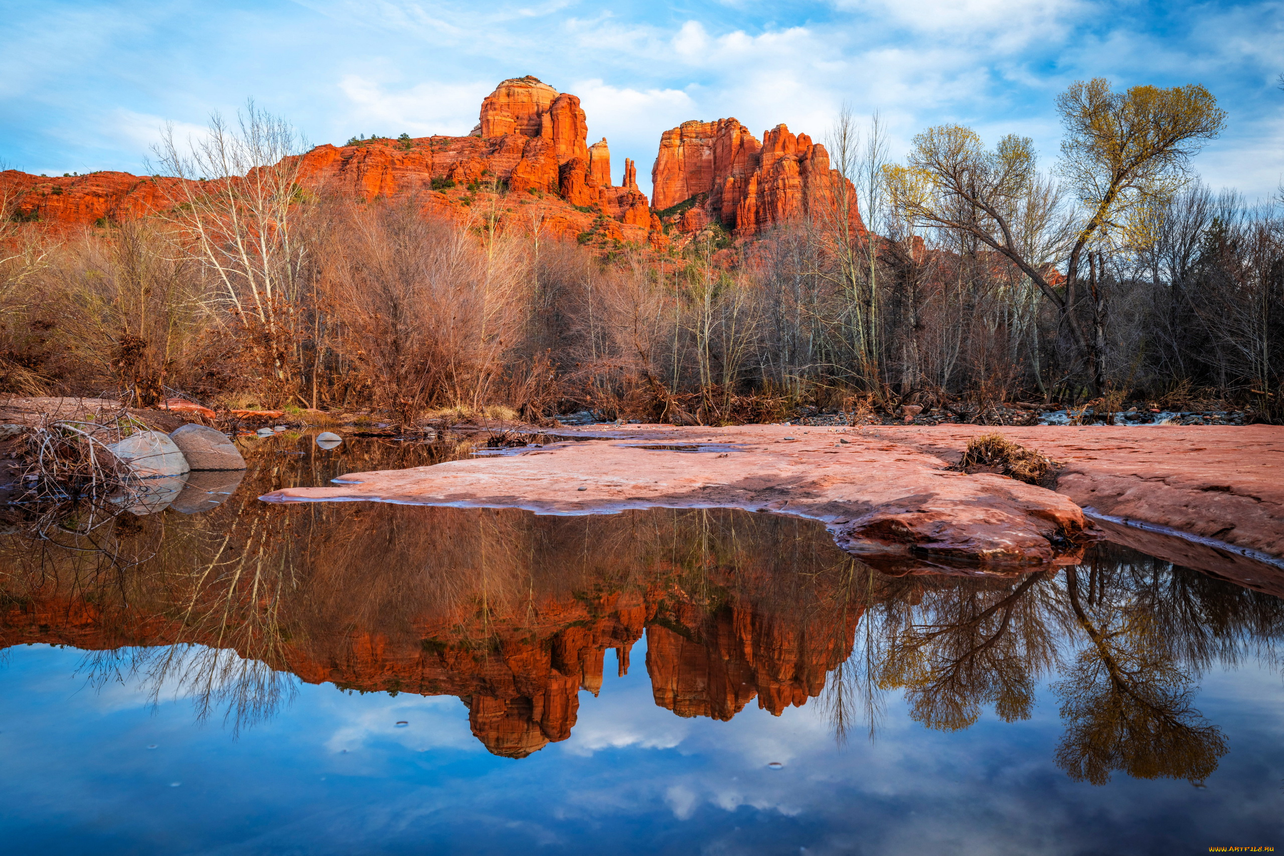 cathedral, rock, sedona, arizona, природа, горы, cathedral, rock