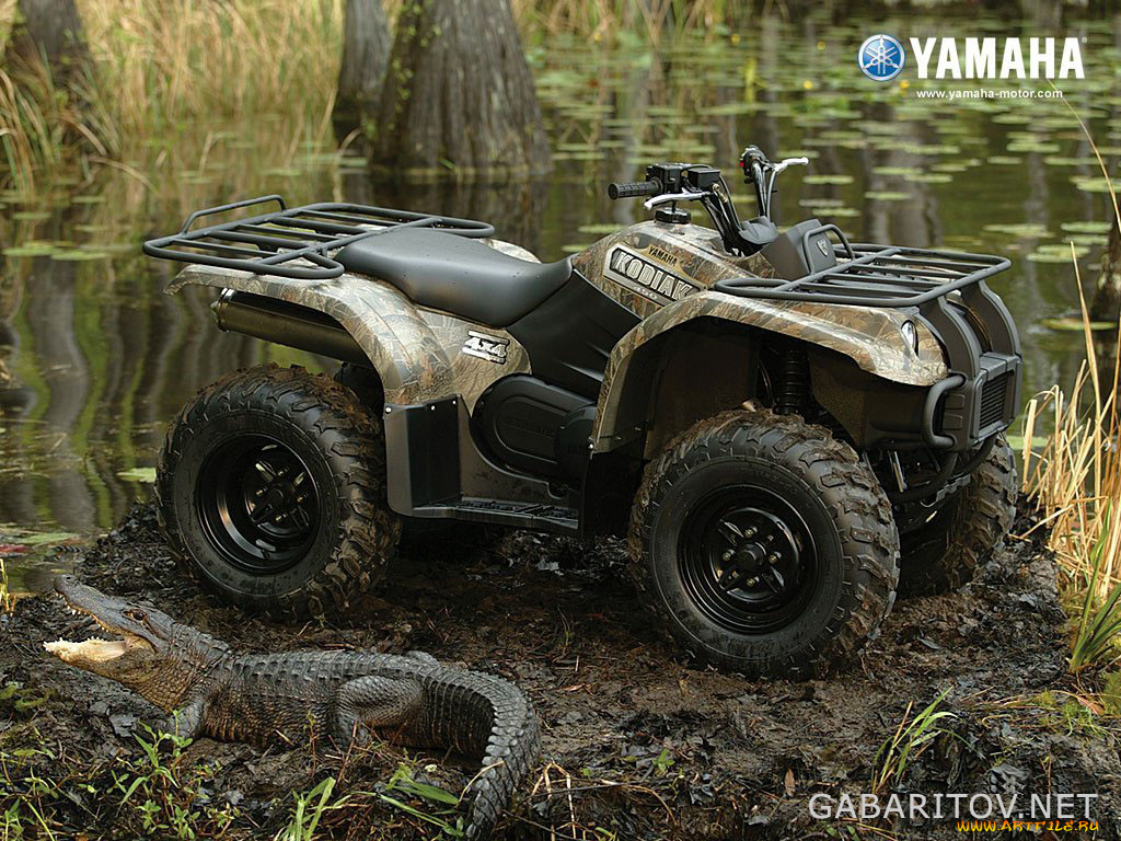 мотоциклы, квадроциклы