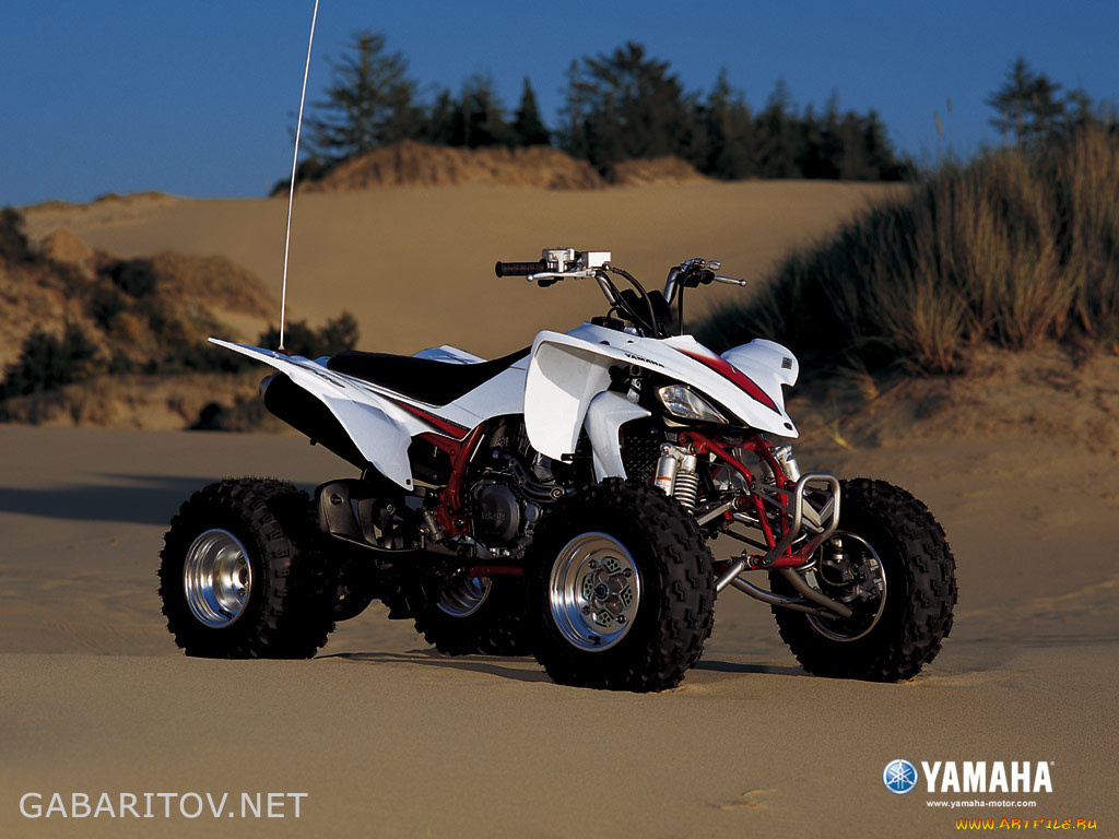 мотоциклы, квадроциклы