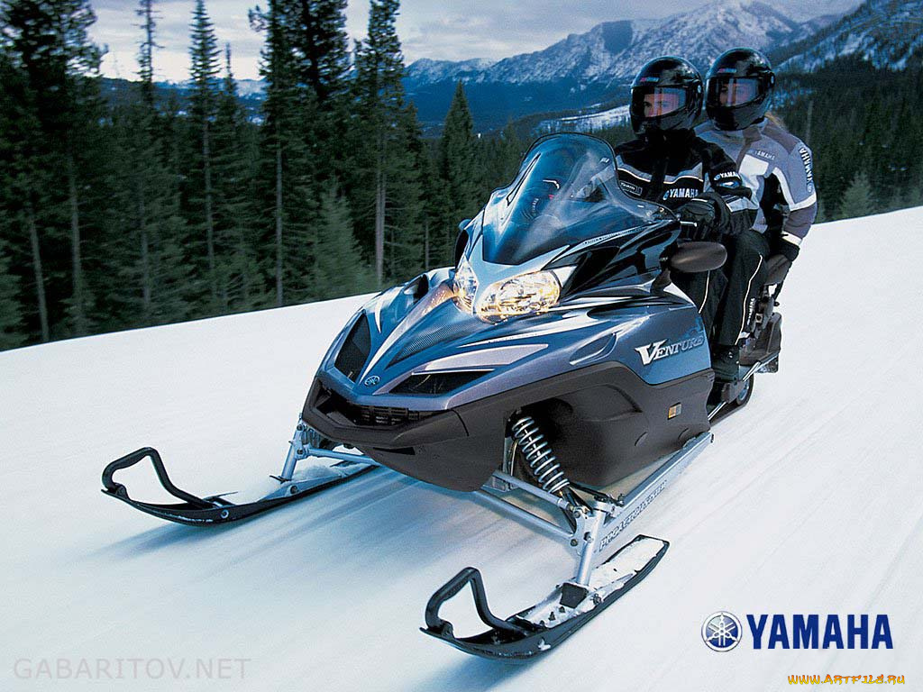 мотоциклы, снегоходы
