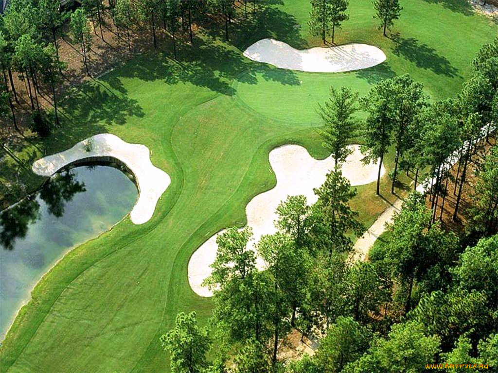 спорт, гольф