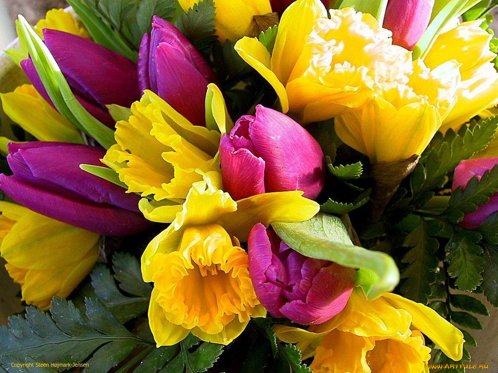 цветы, разные, вместе