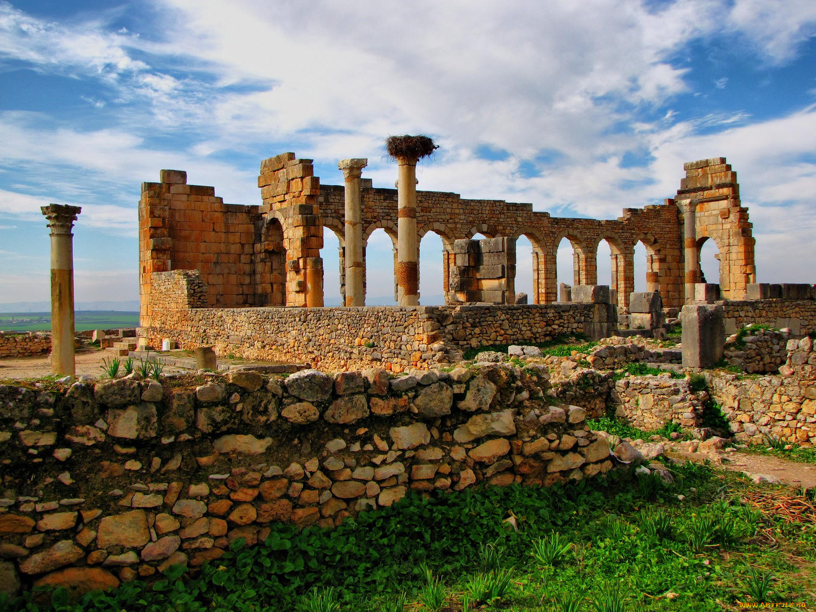 volubilis, roman, ruins, morocco, africa, города, исторические, архитектурные, памятники