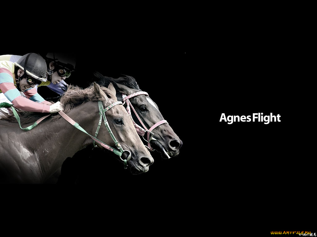 спорт, конный