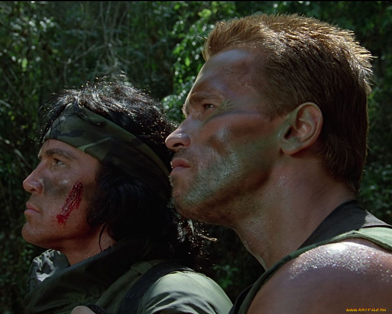 кино, фильмы, predator