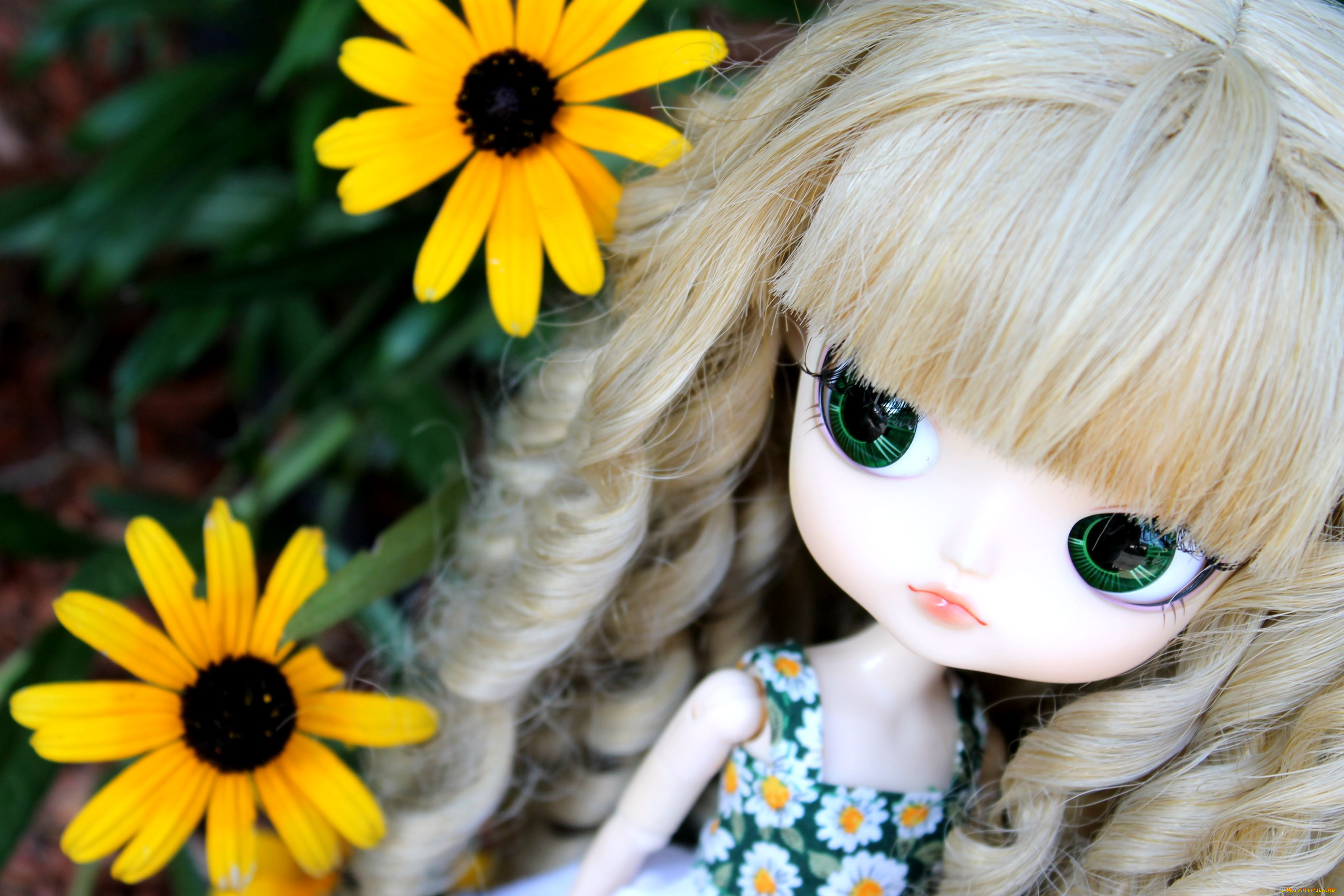 разное, игрушки, кукла, волосы, цветы