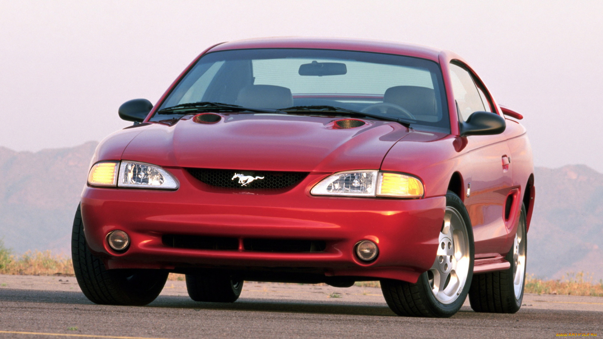 автомобили, mustang