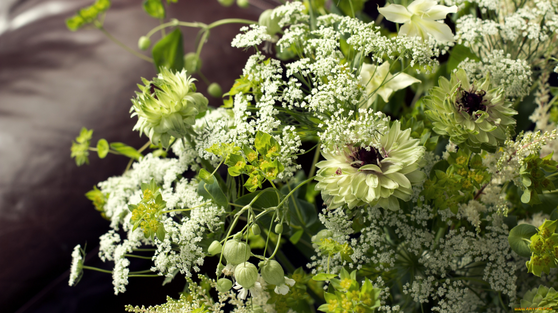 цветы, букеты, композиции, астрантия, травы