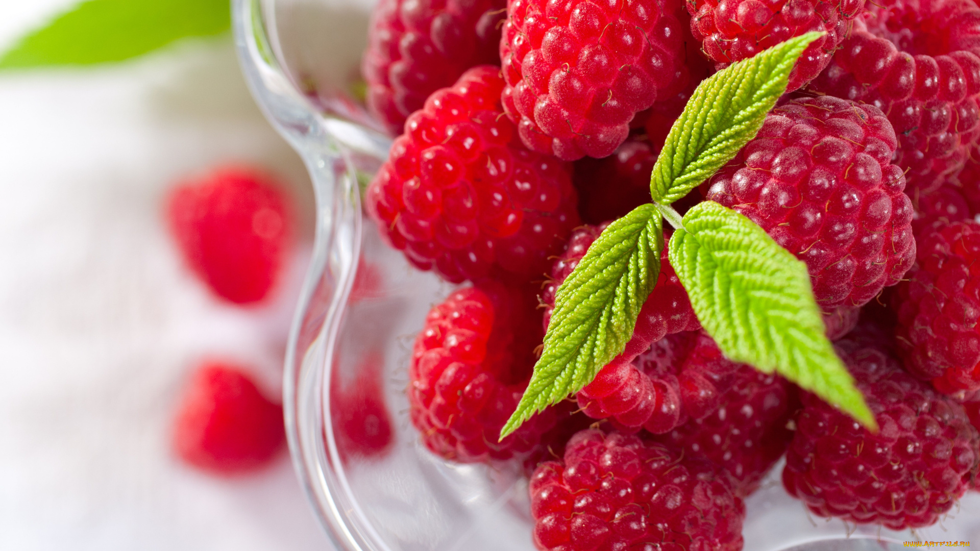 еда, малина, листики, ягоды