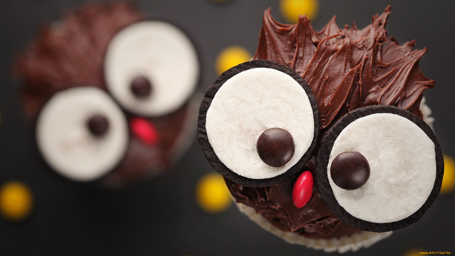 еда, пирожные, кексы, печенье, глаза, мордочка