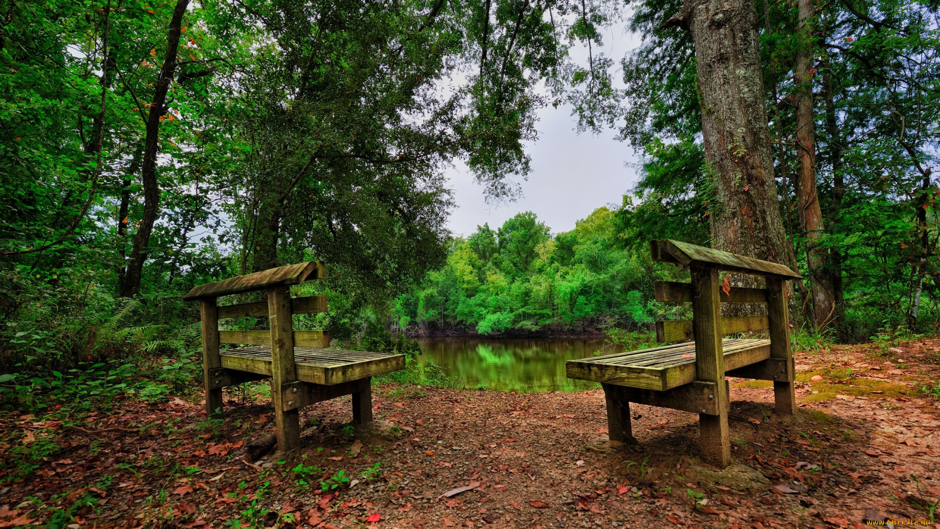 пейзаж, природа, пейзажи, речка, лес, лавочки