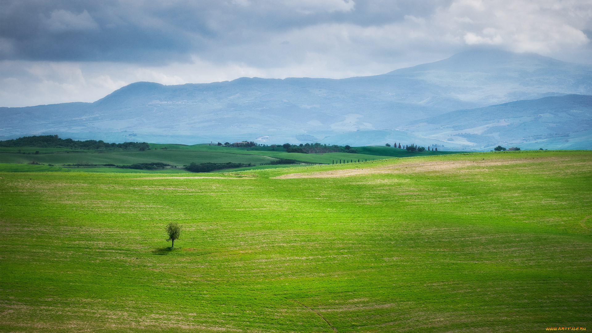 пейзаж, природа, поля, облока, дерево, поле
