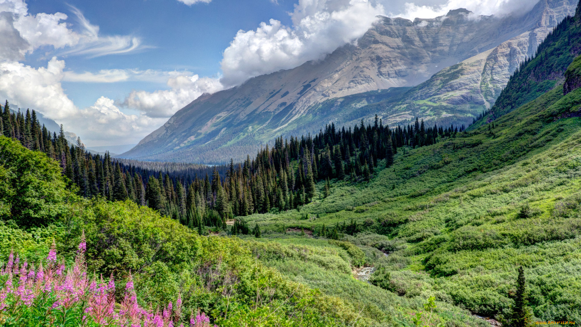 природа, горы, штат, монтана, сша