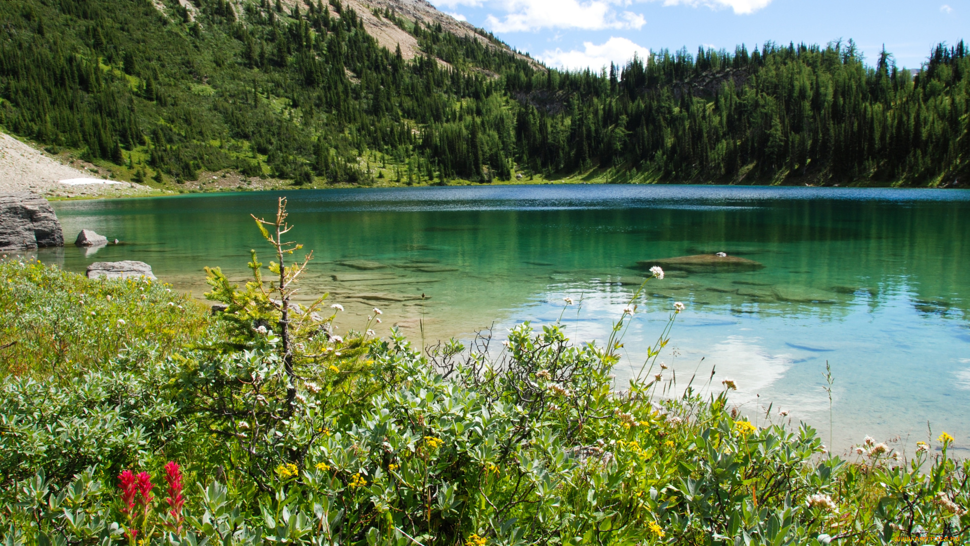 природа, реки, озера, канада