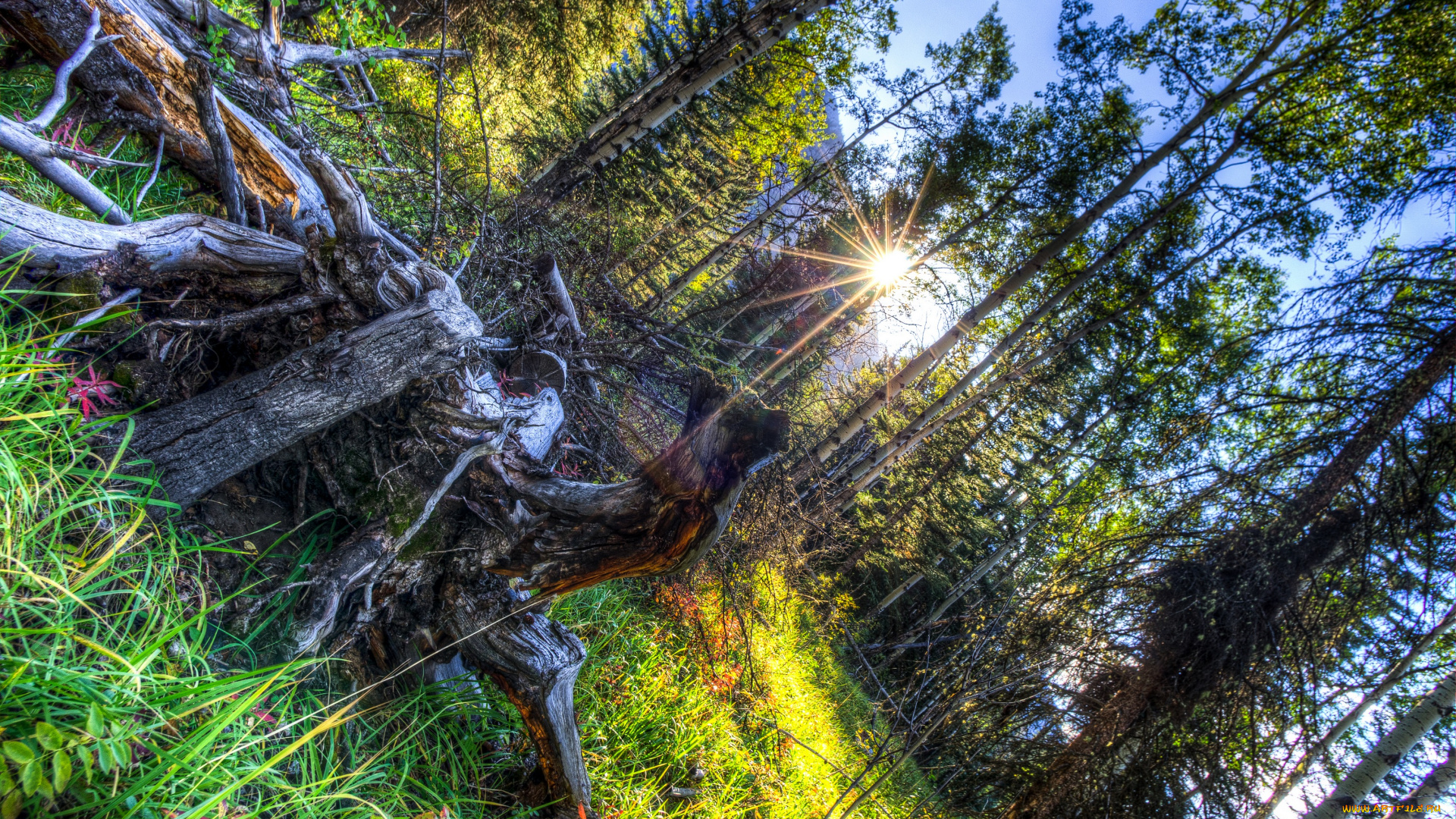 природа, восходы, закаты, канада