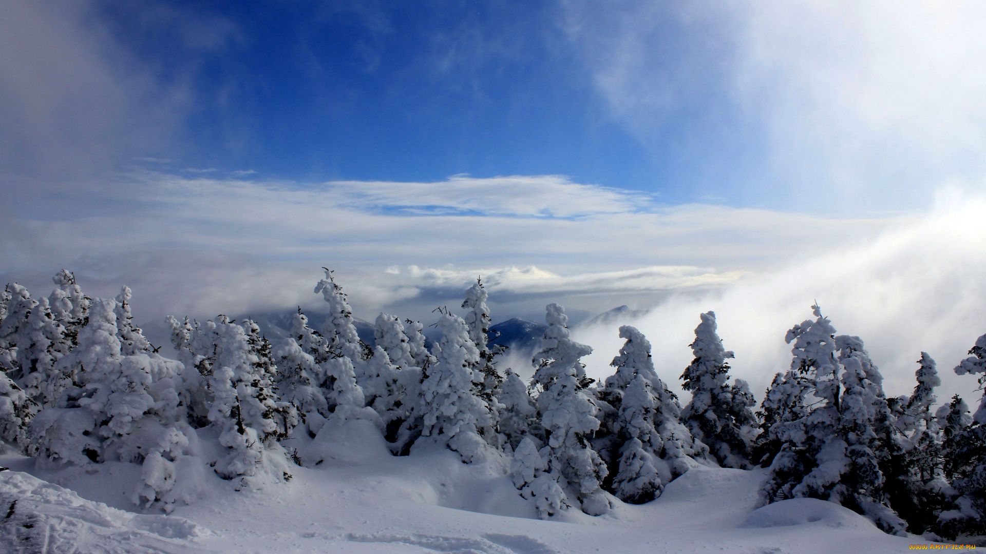 природа, зима, северная, америка