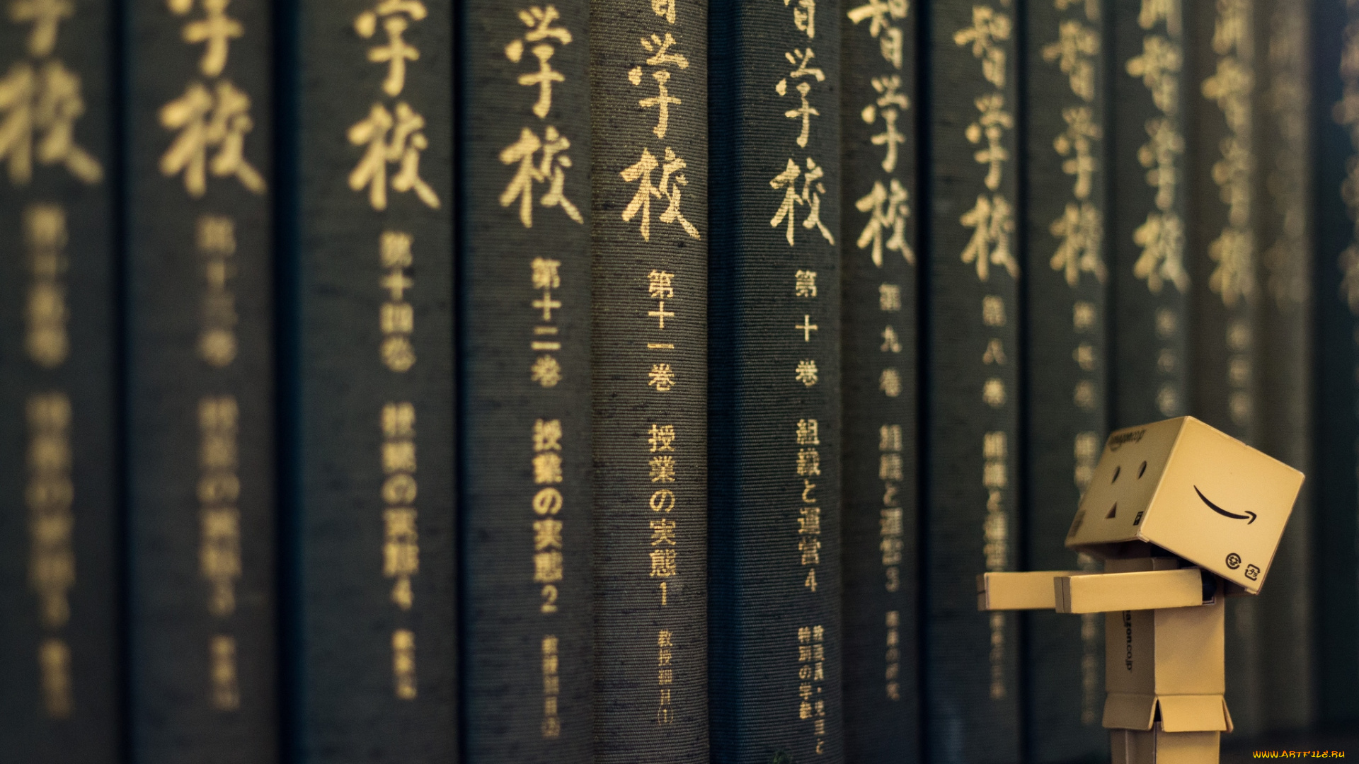 разное, данбо, danboard, книги, коробочка