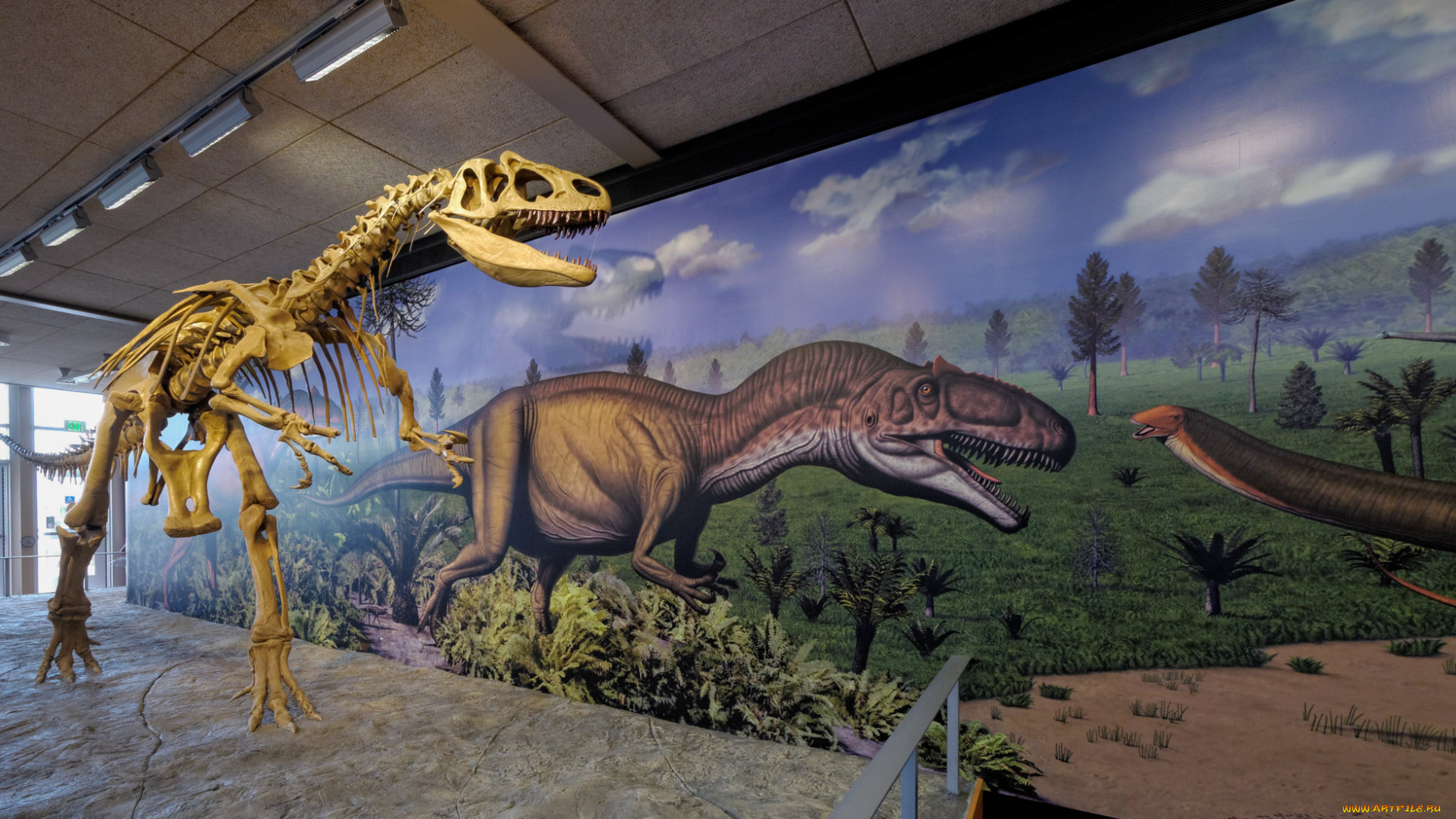 разное, кости, рентген, динозавр, выставочный, центр, скелет, штат, юта