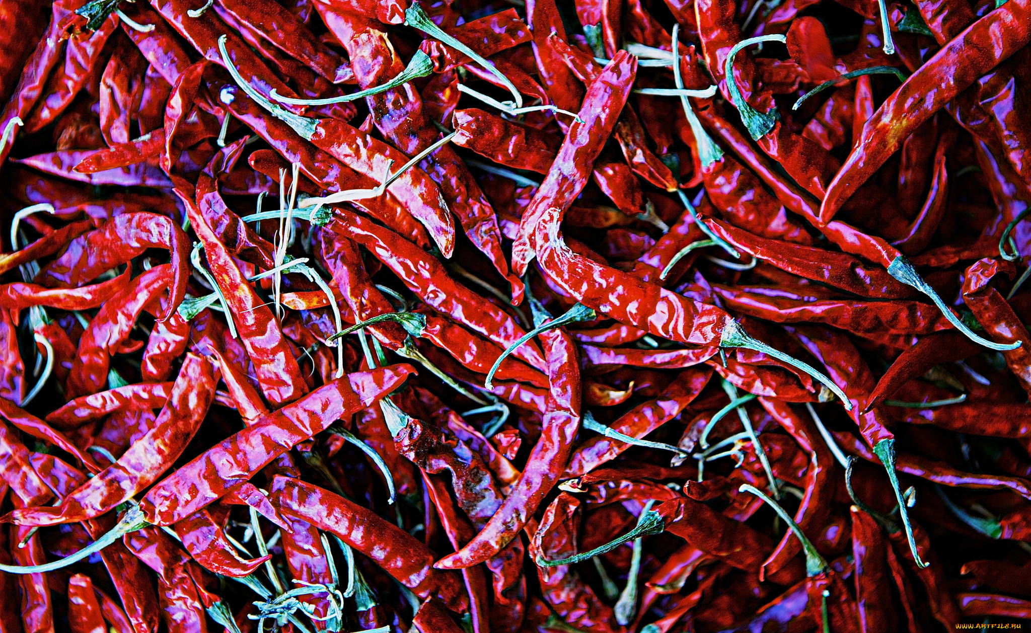 еда, перец, чили