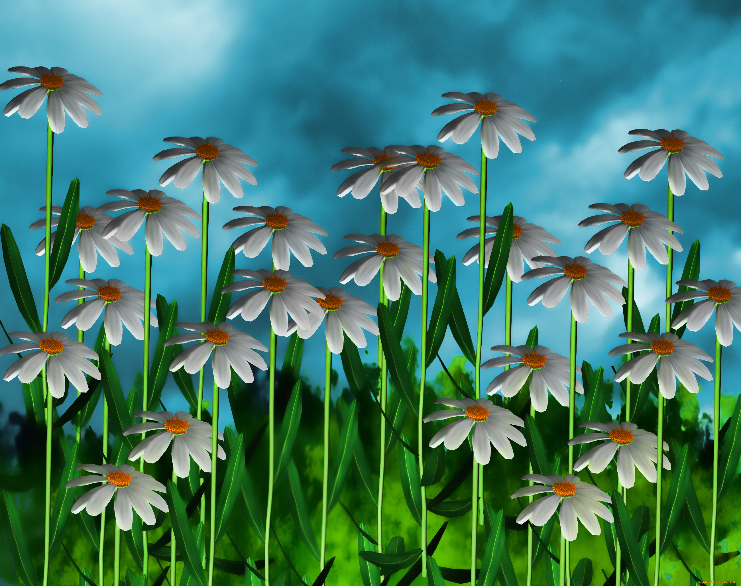 3д, графика, flowers, цветы, ромашки