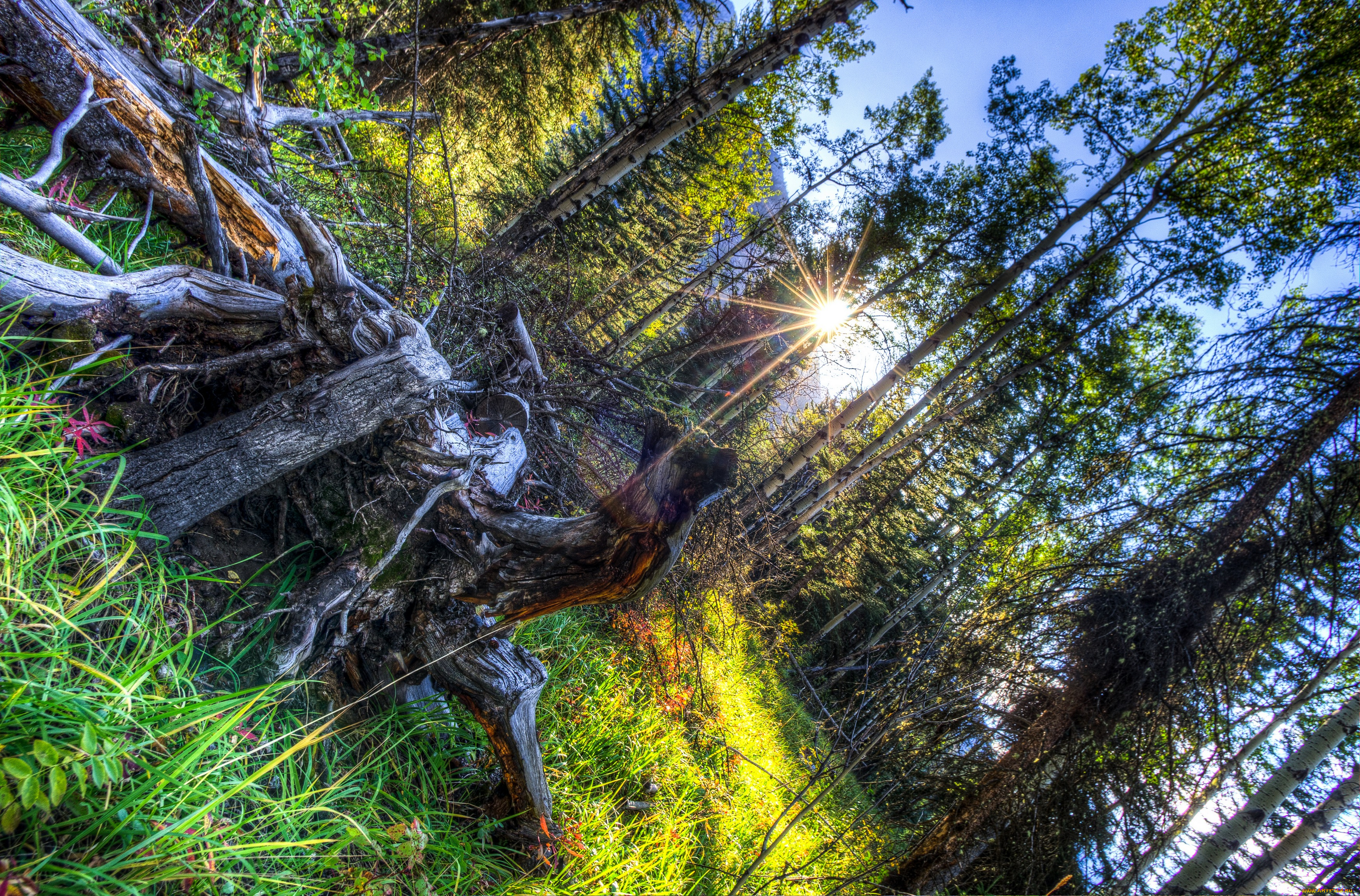 природа, восходы, закаты, канада