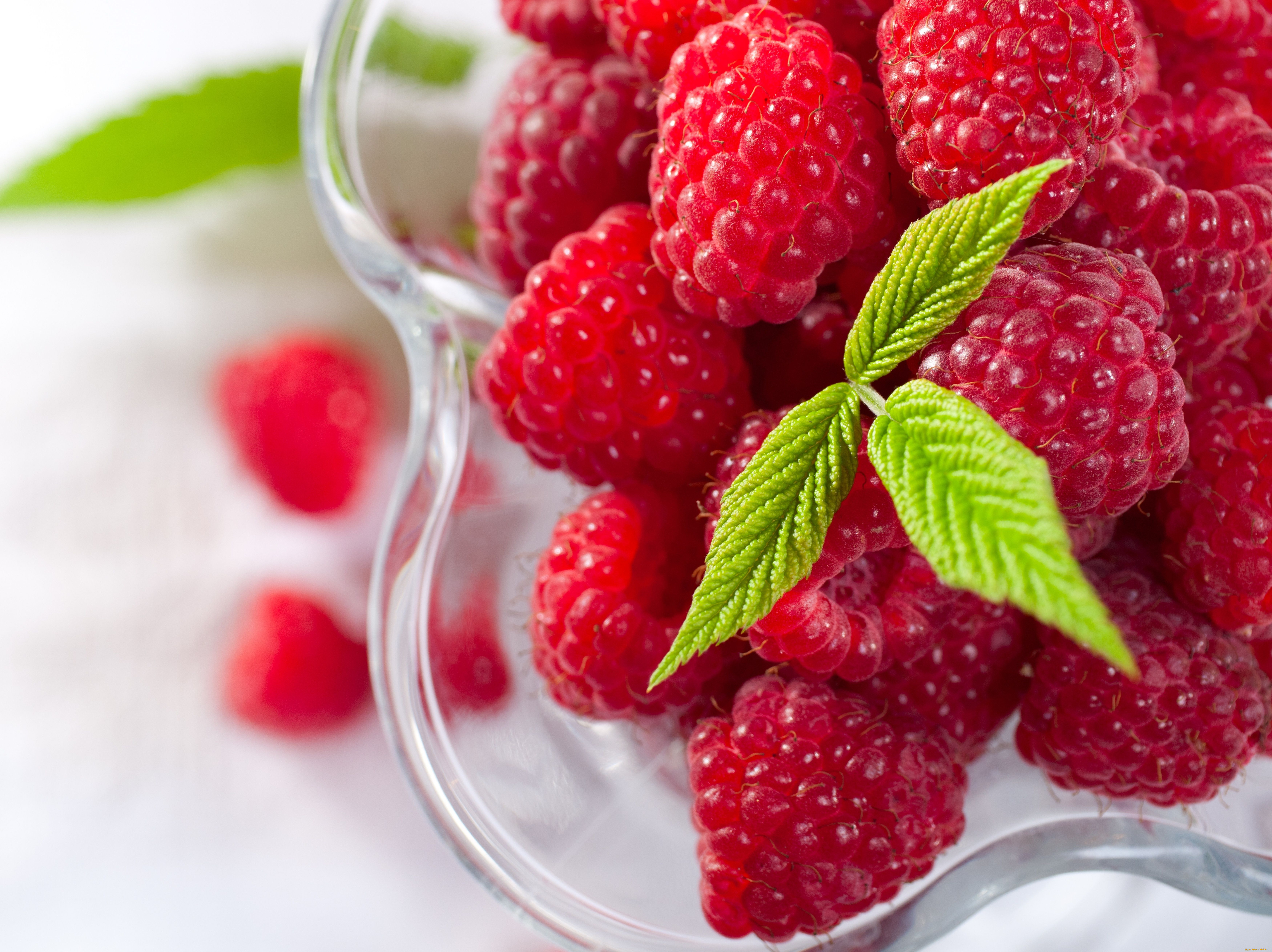 еда, малина, листики, ягоды