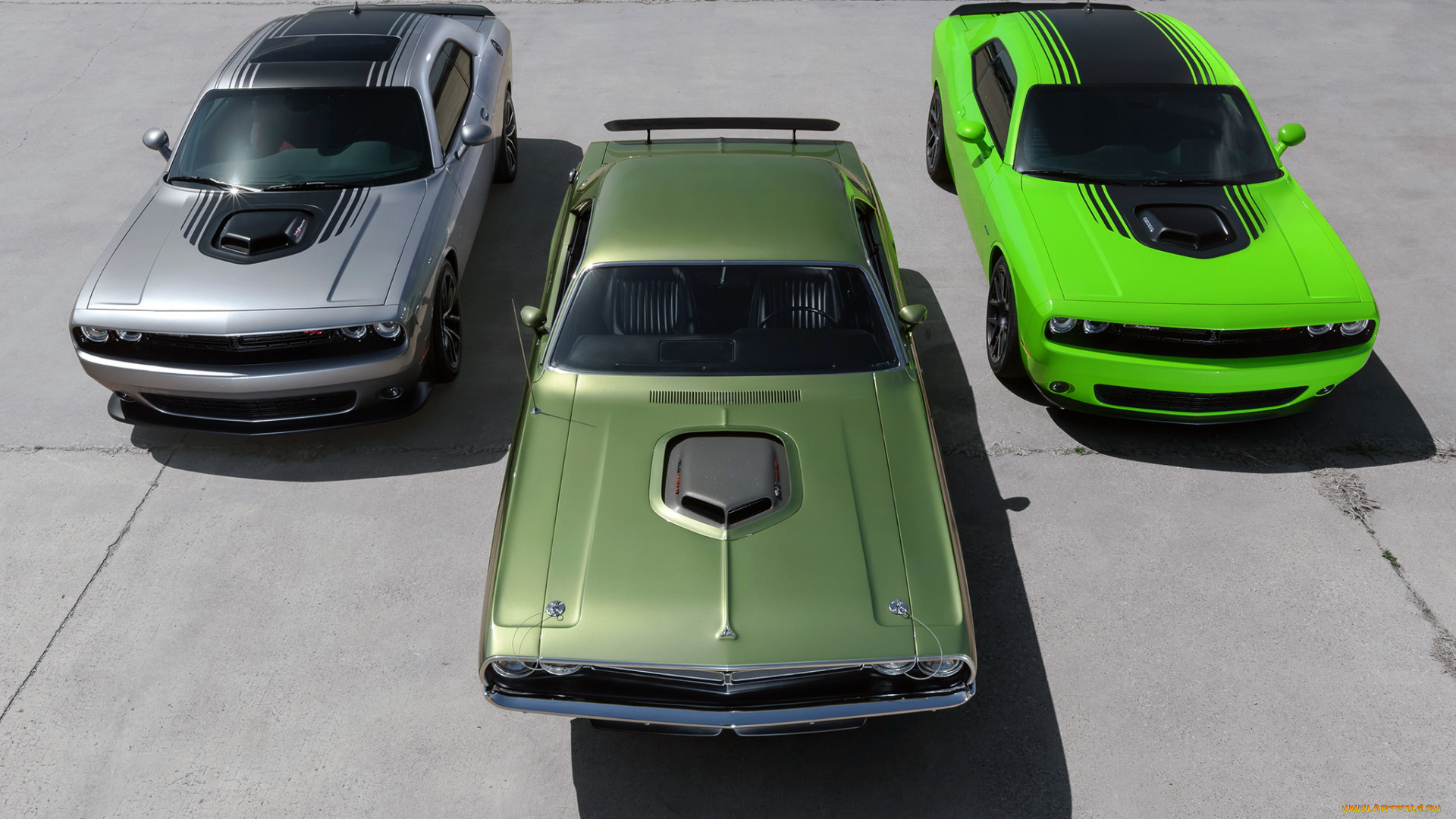 автомобили, dodge, challenger