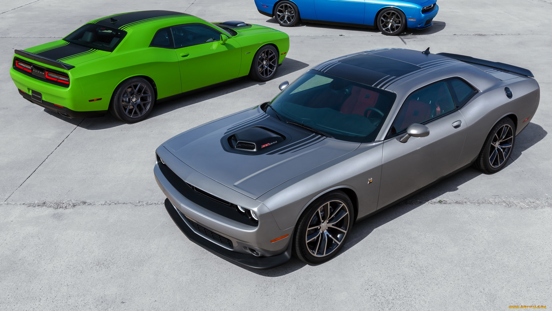 автомобили, dodge, challenger