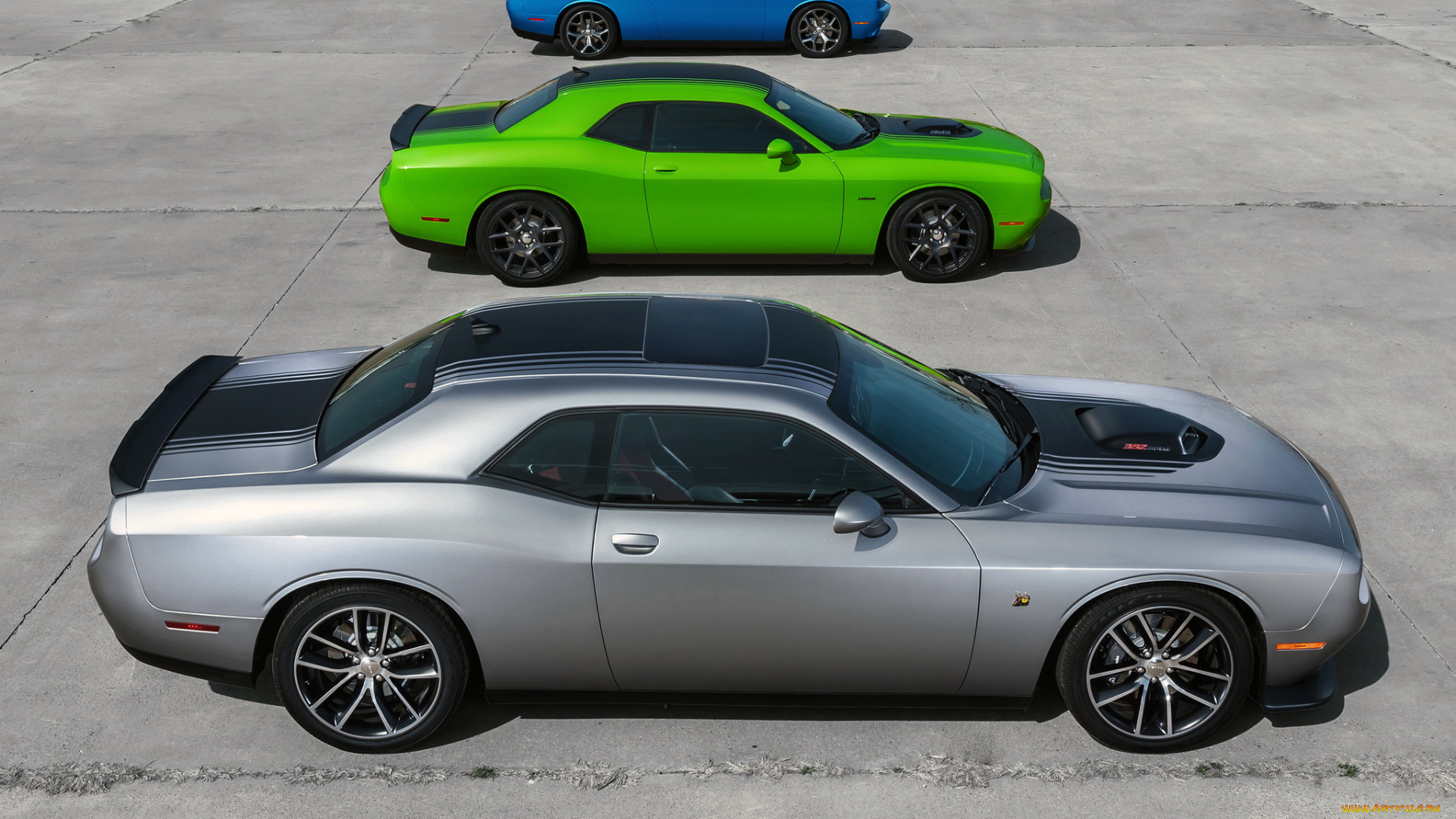 автомобили, dodge, challenger